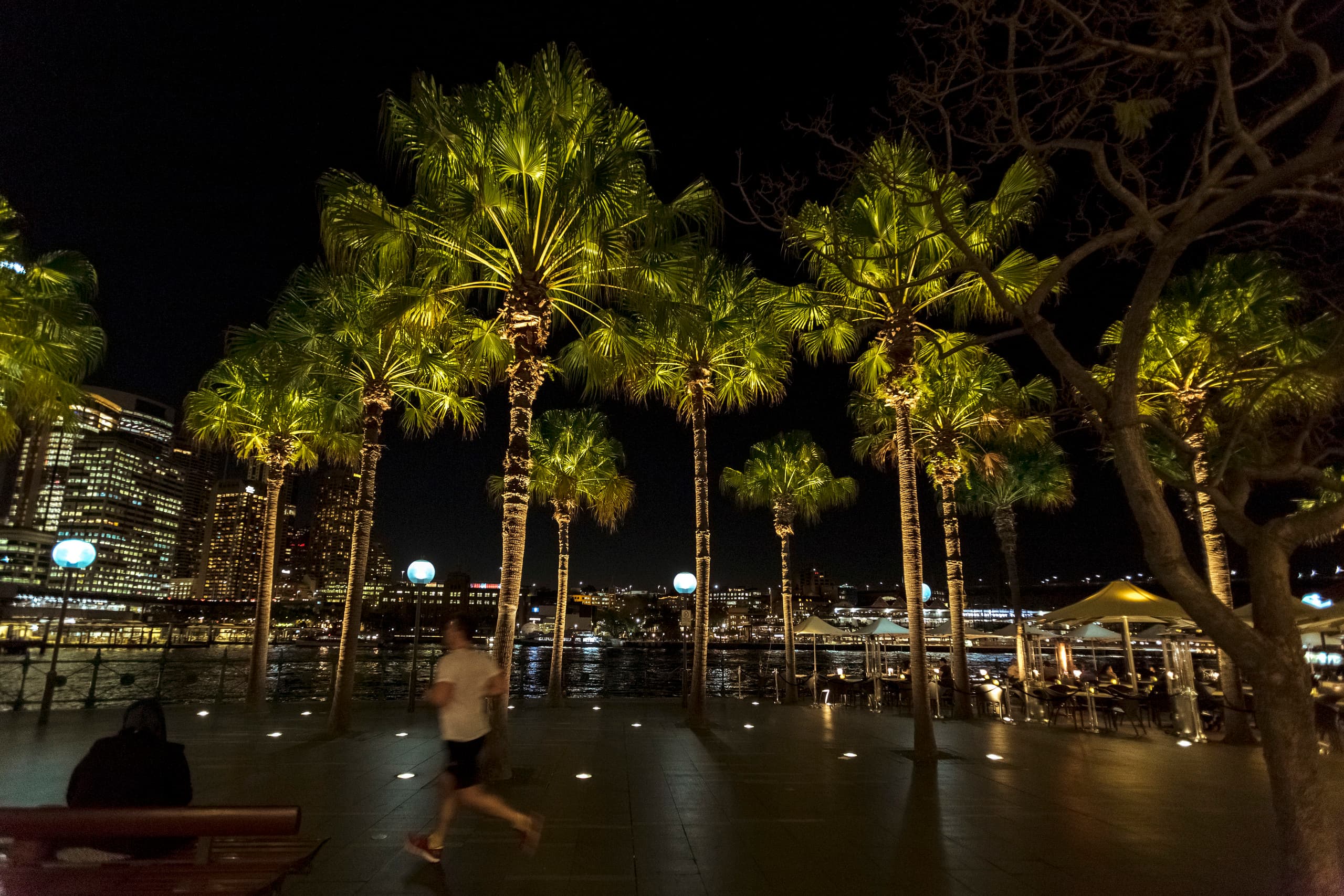 Beleuchtete Palmen am Circular Quay East in Sydney mit ERCO Bodeneinbauleuchten.