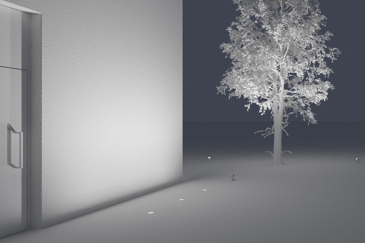 MAM asset 2017535