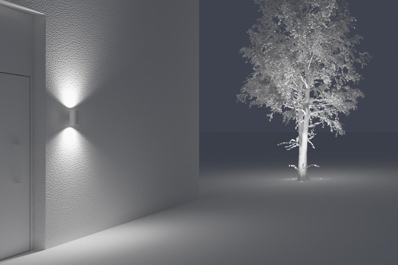 MAM asset 2017570
