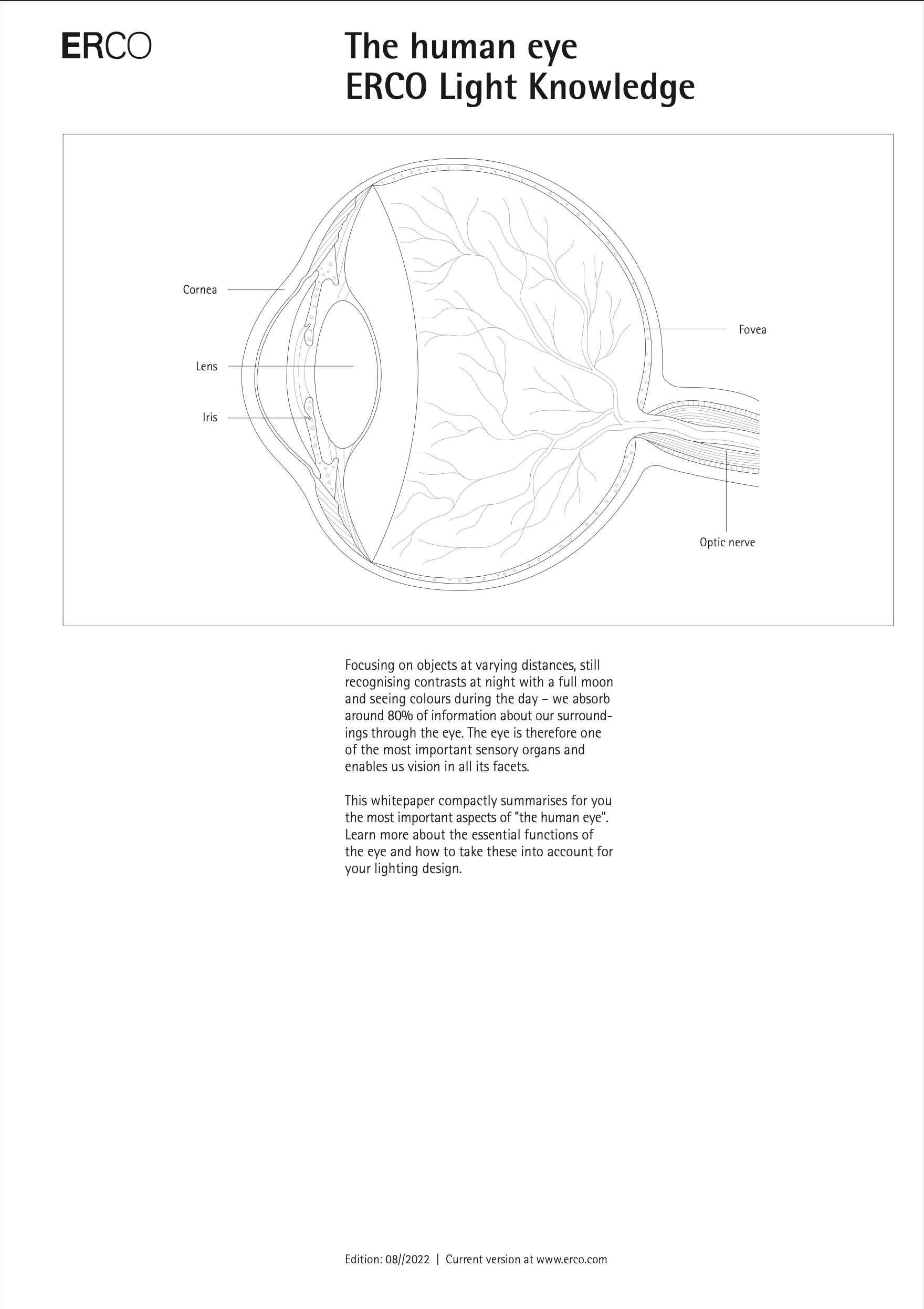 Whitepaper "Das menschliche Auge"