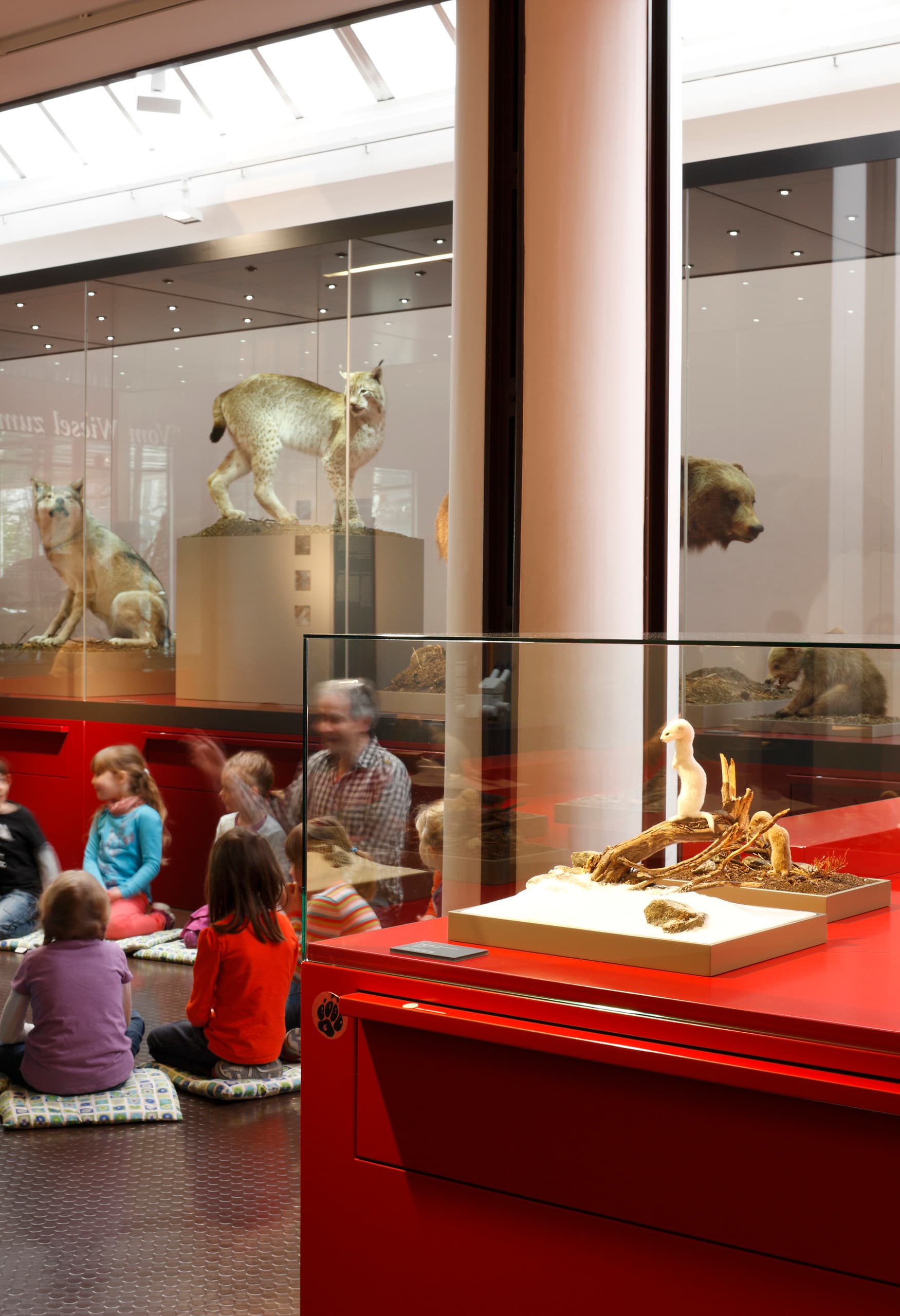 Bündner Naturmuseum, Chur