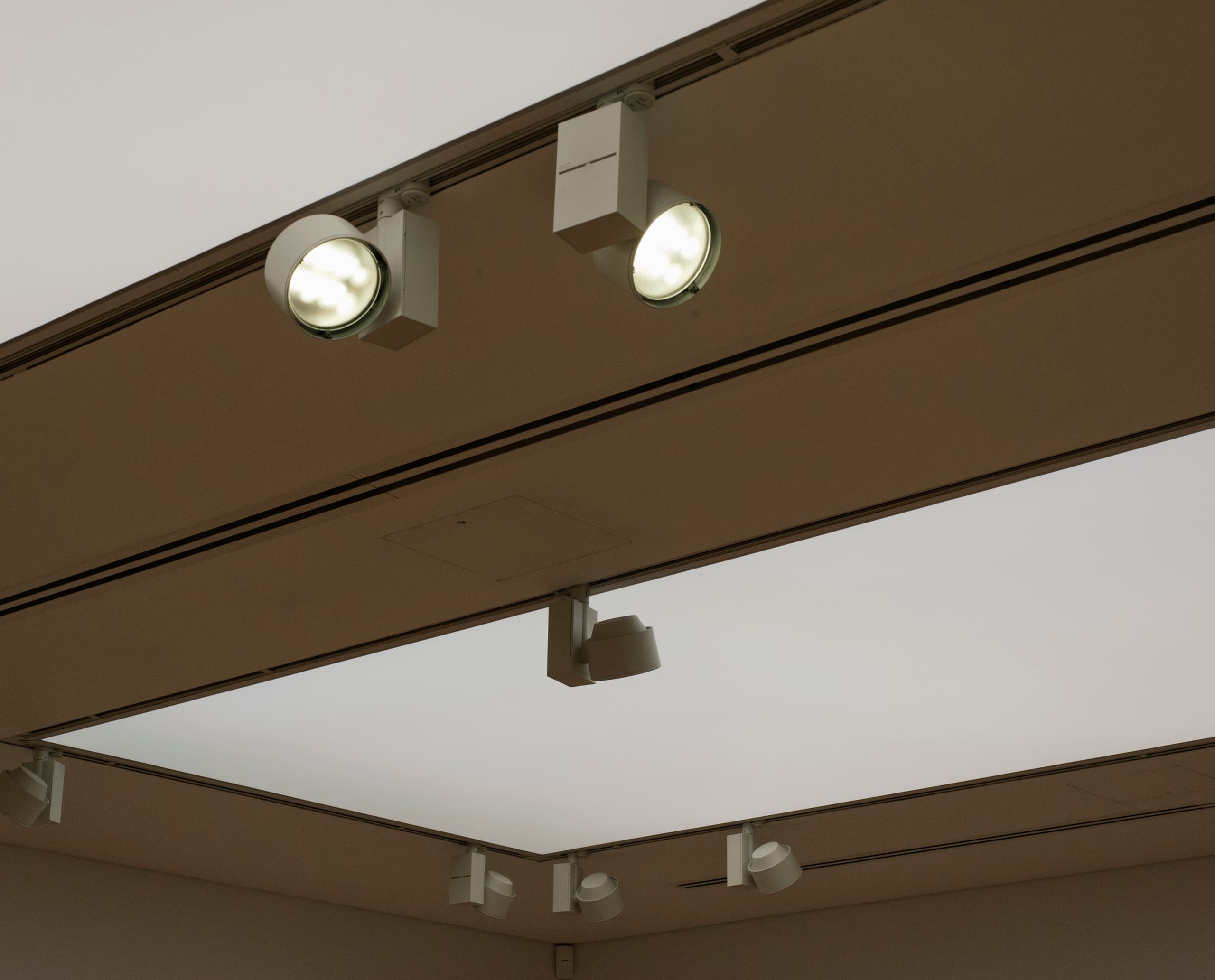 ERCO Optec LED-Strahler an Stromschienen im National Museum of Wales für flexible Galerielichtgestaltung.