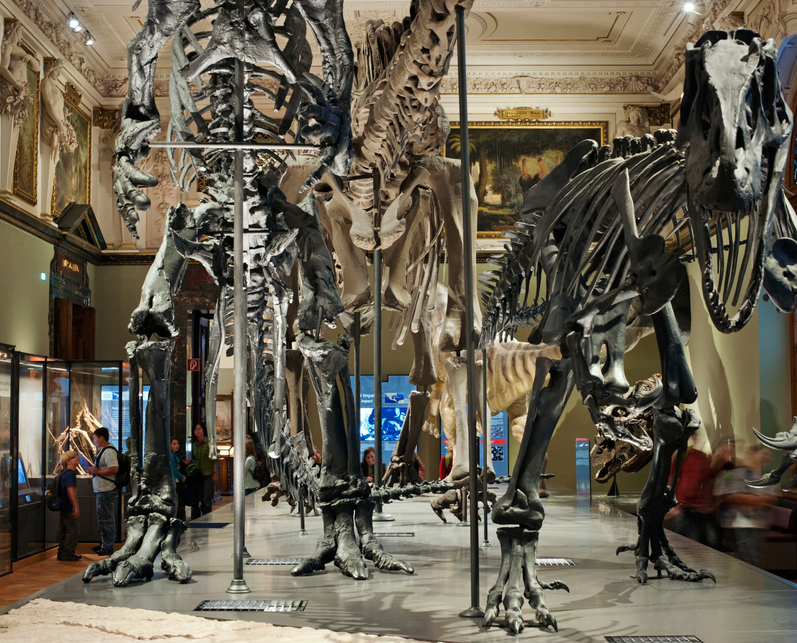 Dinosaurierskelette im Naturhistorischen Museum Wien, beleuchtet mit ERCO Logotec LED Strahlern.