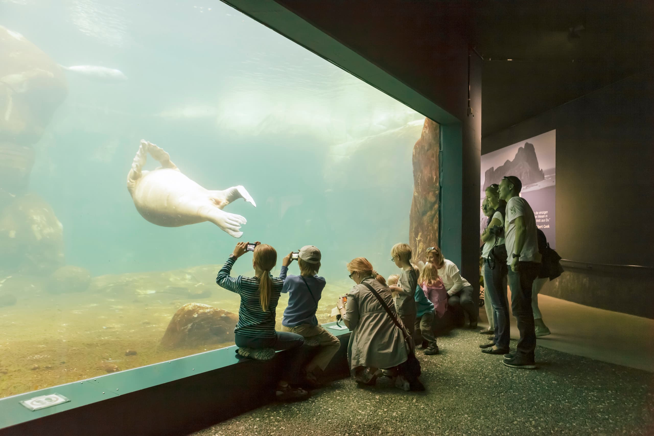 Besucher beobachten einen Walross im Arktis-Gehege des Hagenbeck Zoos, beleuchtet mit ERCO Grasshopper LED Strahlern.