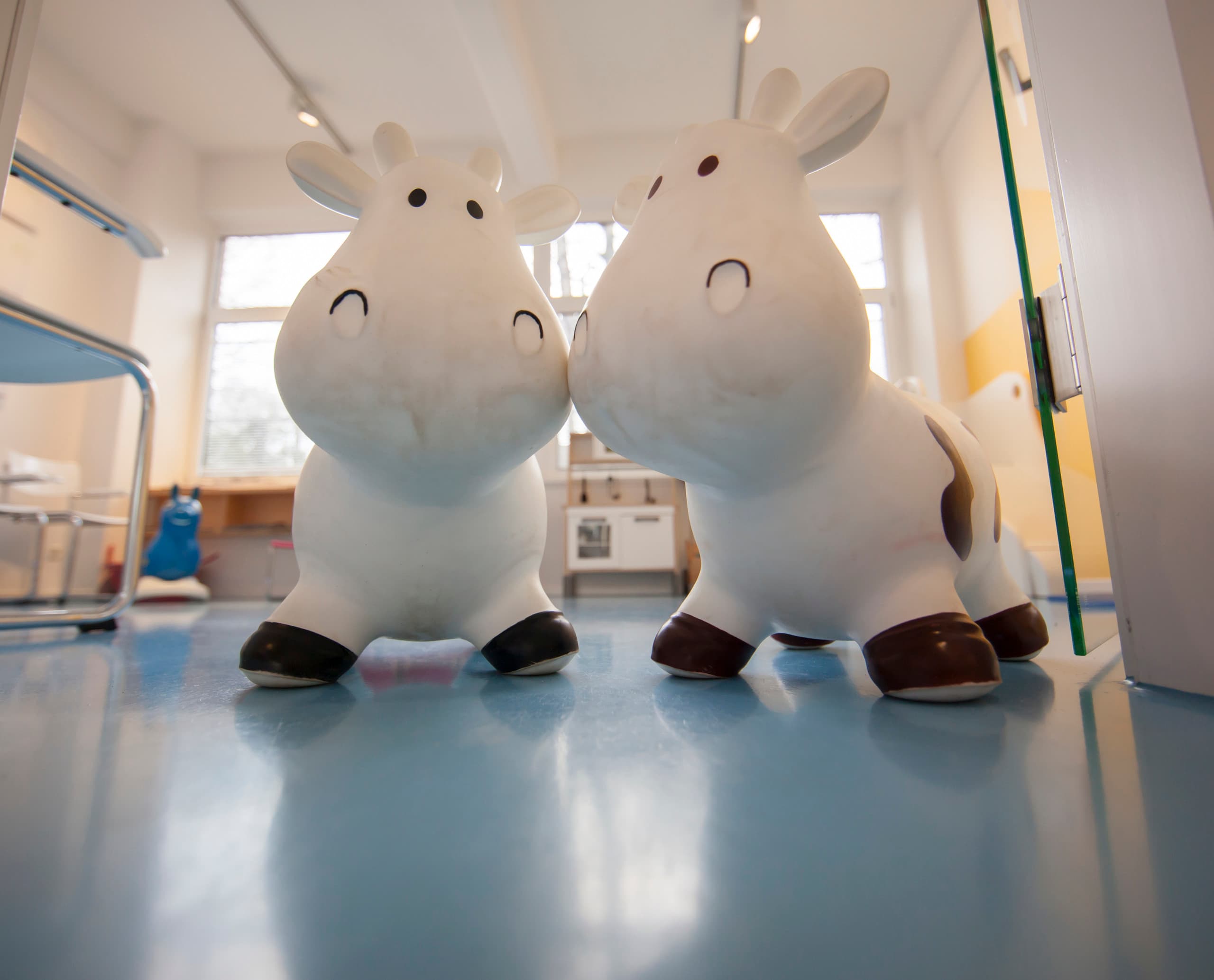 Zwei Kuh-Spielzeuge im Wartebereich einer Kinderarztpraxis in Hamburg.