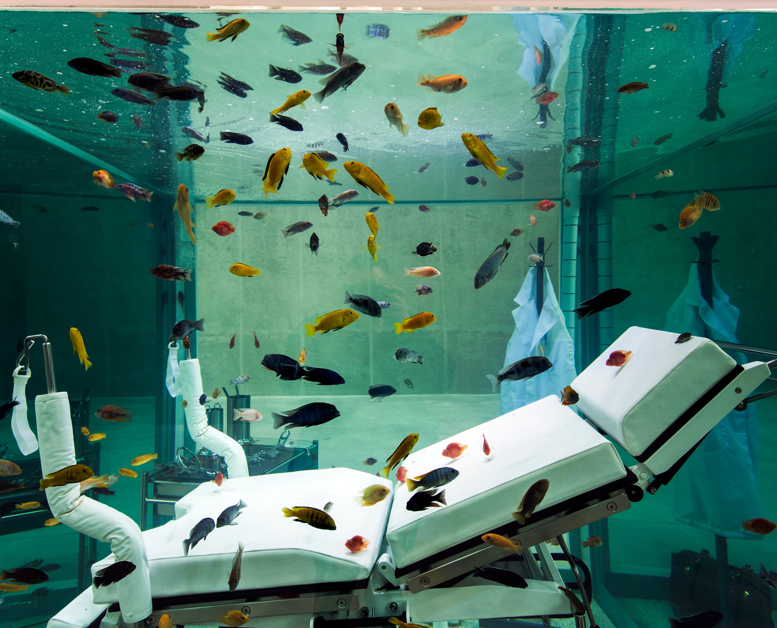 Kunstinstallation in der Fondazione Prada: Ein Behandlungsstuhl in einem Aquarium mit Fischen.