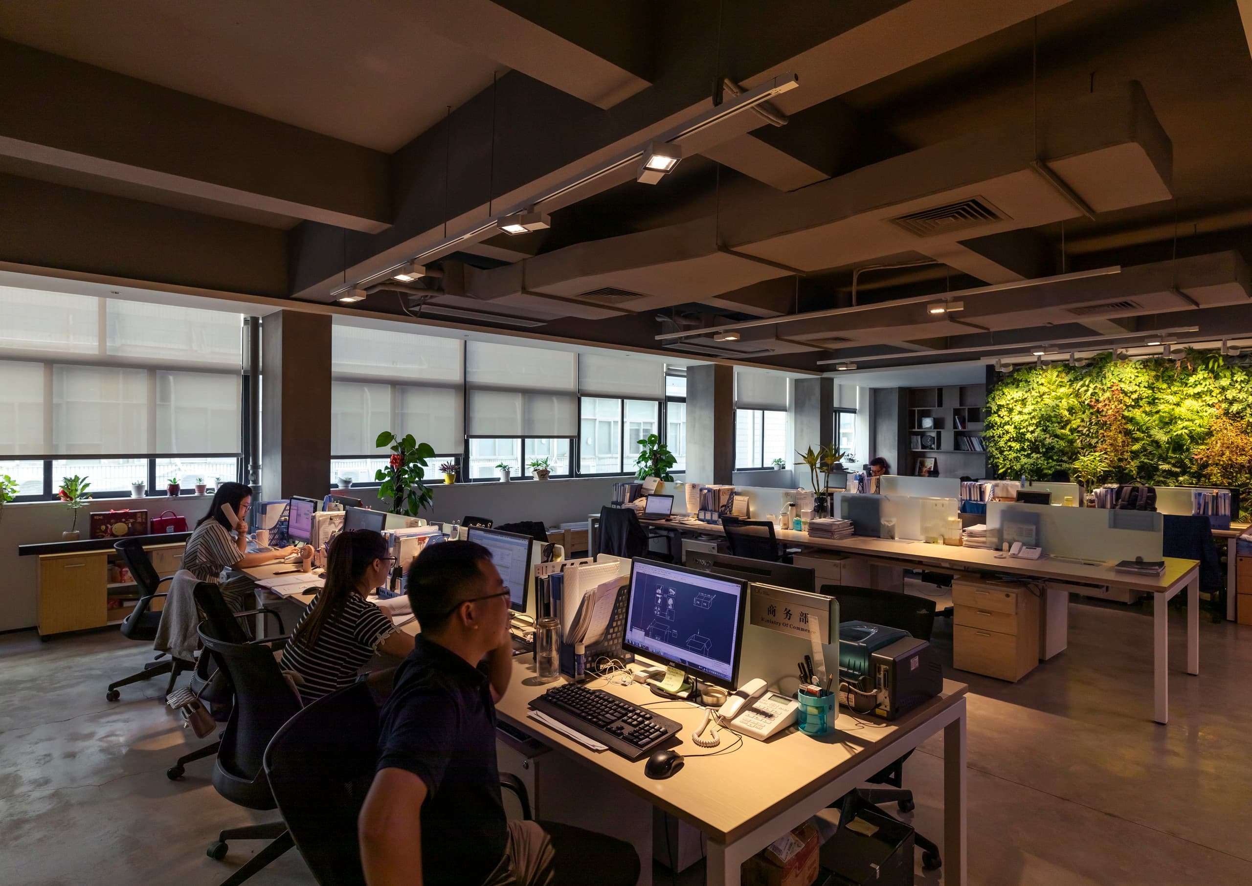 QiGuang Technology Büro mit ERCO Optec Strahlern für Pflanzen und Opton Strahlern für Arbeitsplätze.