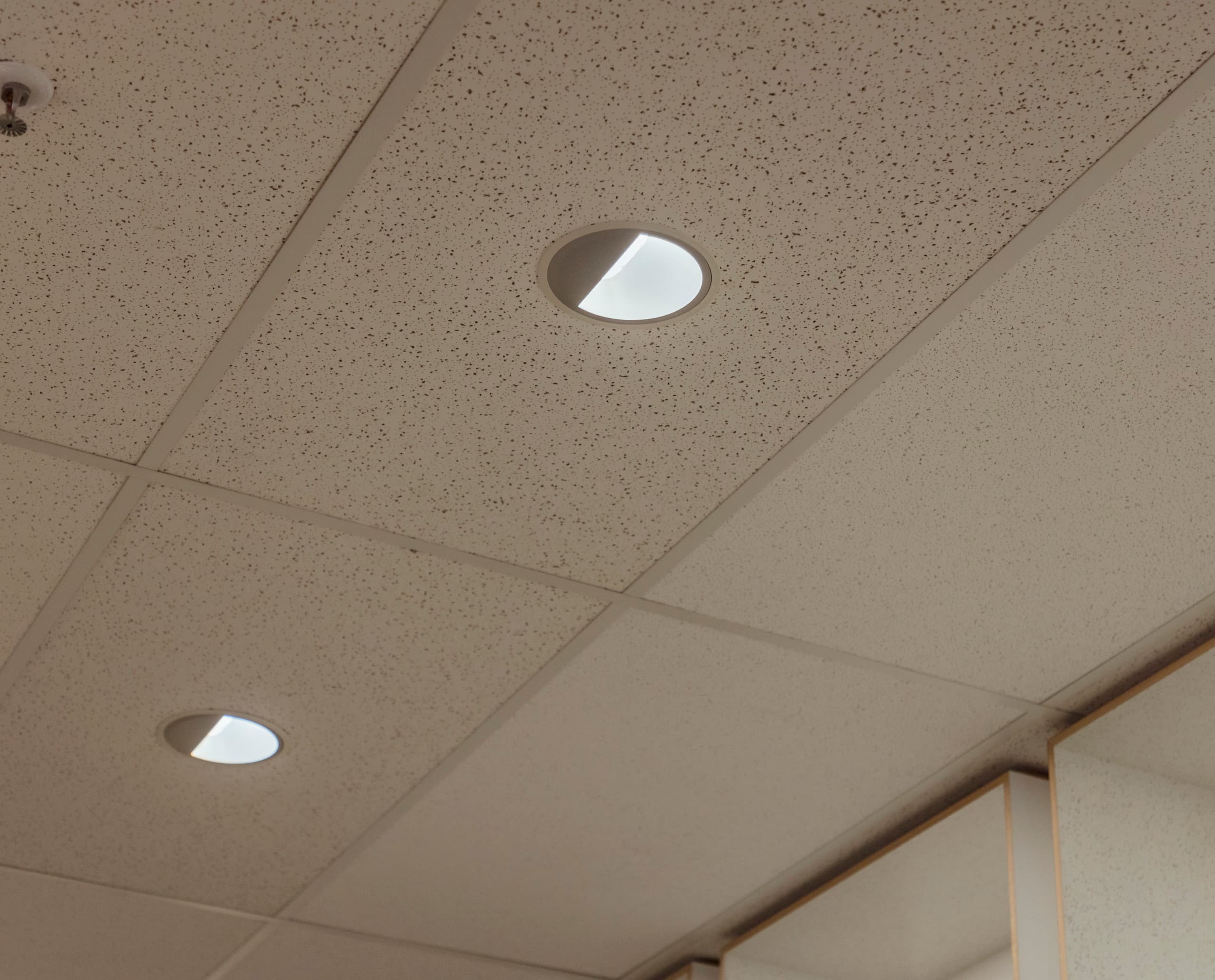 ERCO Iku Downlights in einem Büro für Human Centric Lighting.