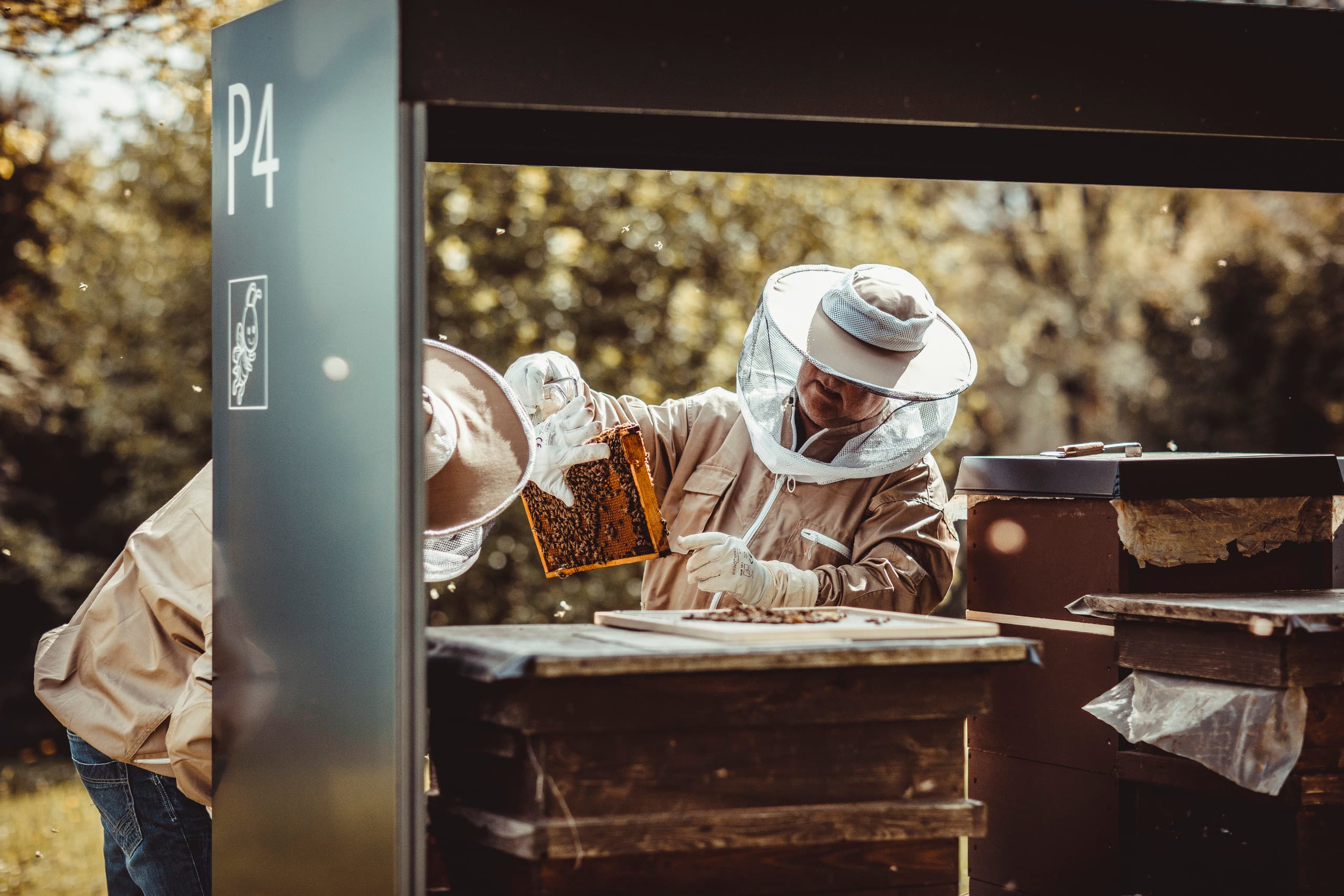 Ein Imker in Schutzkleidung inspiziert eine Bienenwabe, ein Beispiel für ERCOs Engagement für Biodiversität.