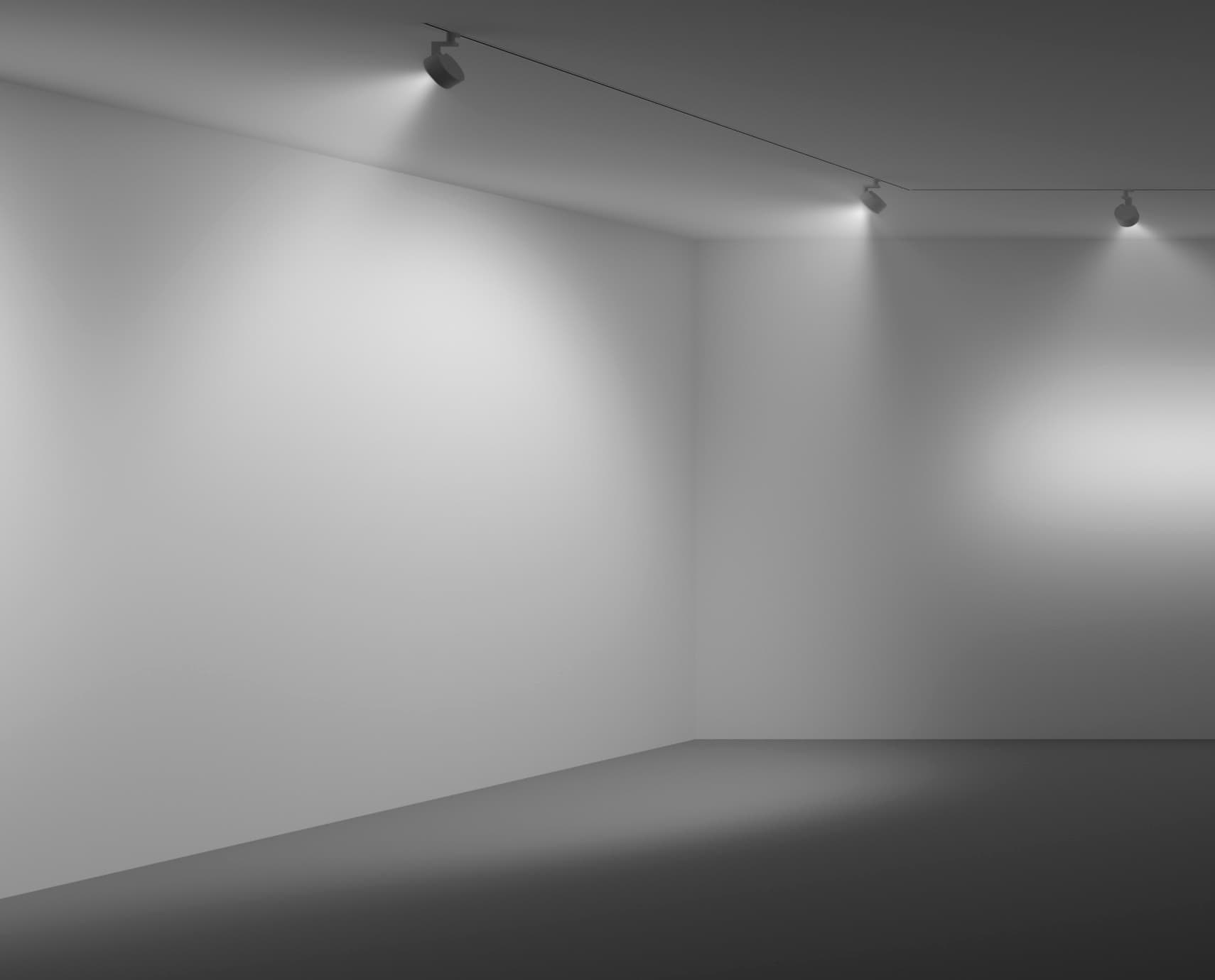 ERCO Strahler beleuchten eine leere Museumswand, flexible Lichtgestaltung.