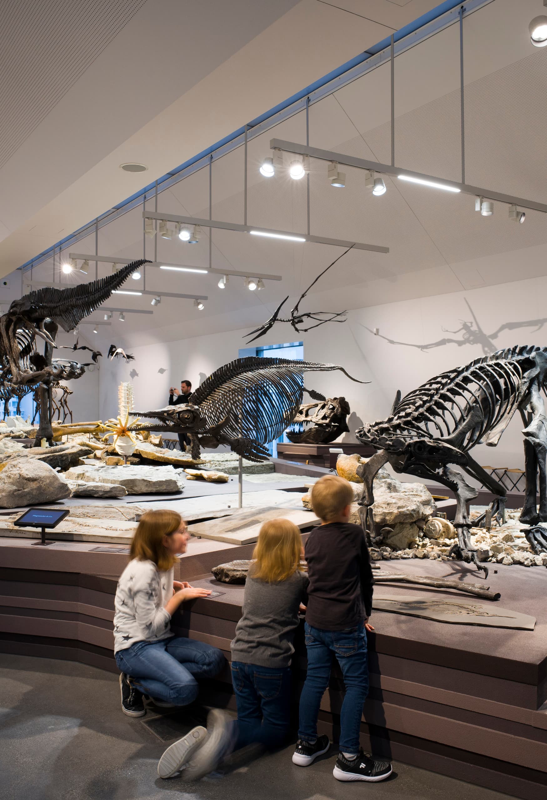 Naturmuseum, St. Gallen