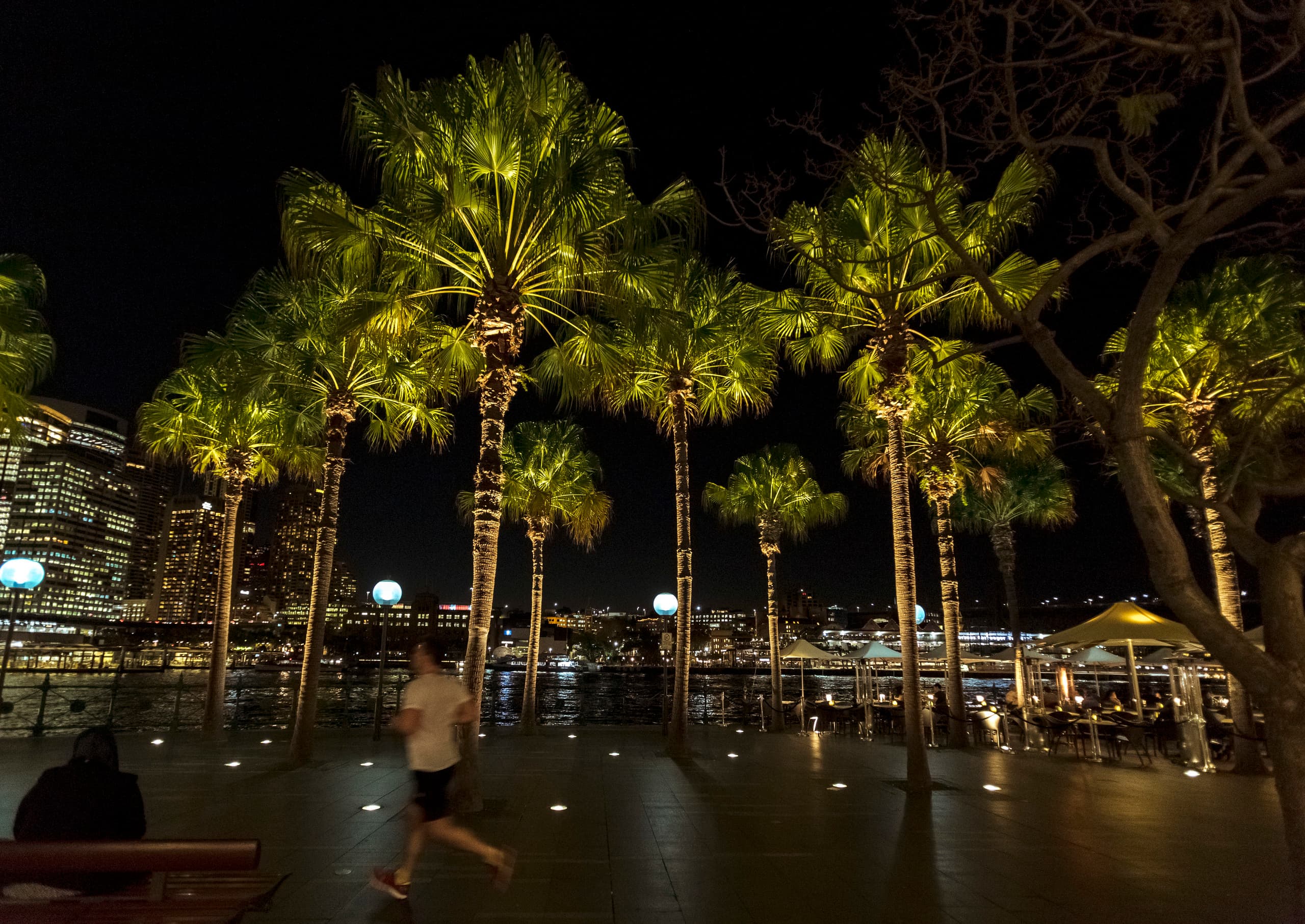 Beleuchtete Palmen am Circular Quay East in Sydney mit ERCO Bodeneinbauleuchten.