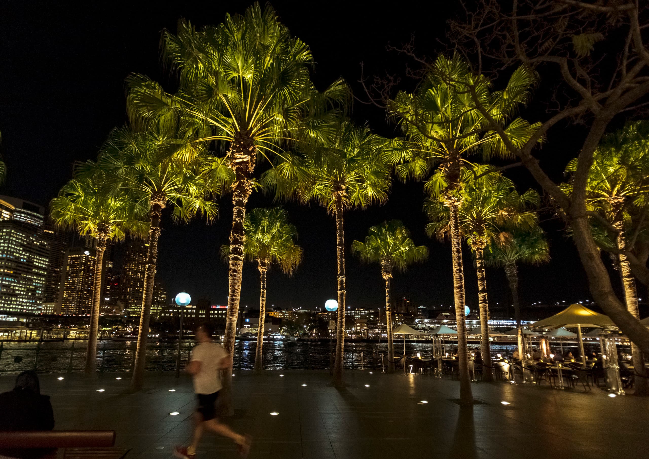 Beleuchtete Palmen am Circular Quay East in Sydney mit ERCO Bodeneinbauleuchten.