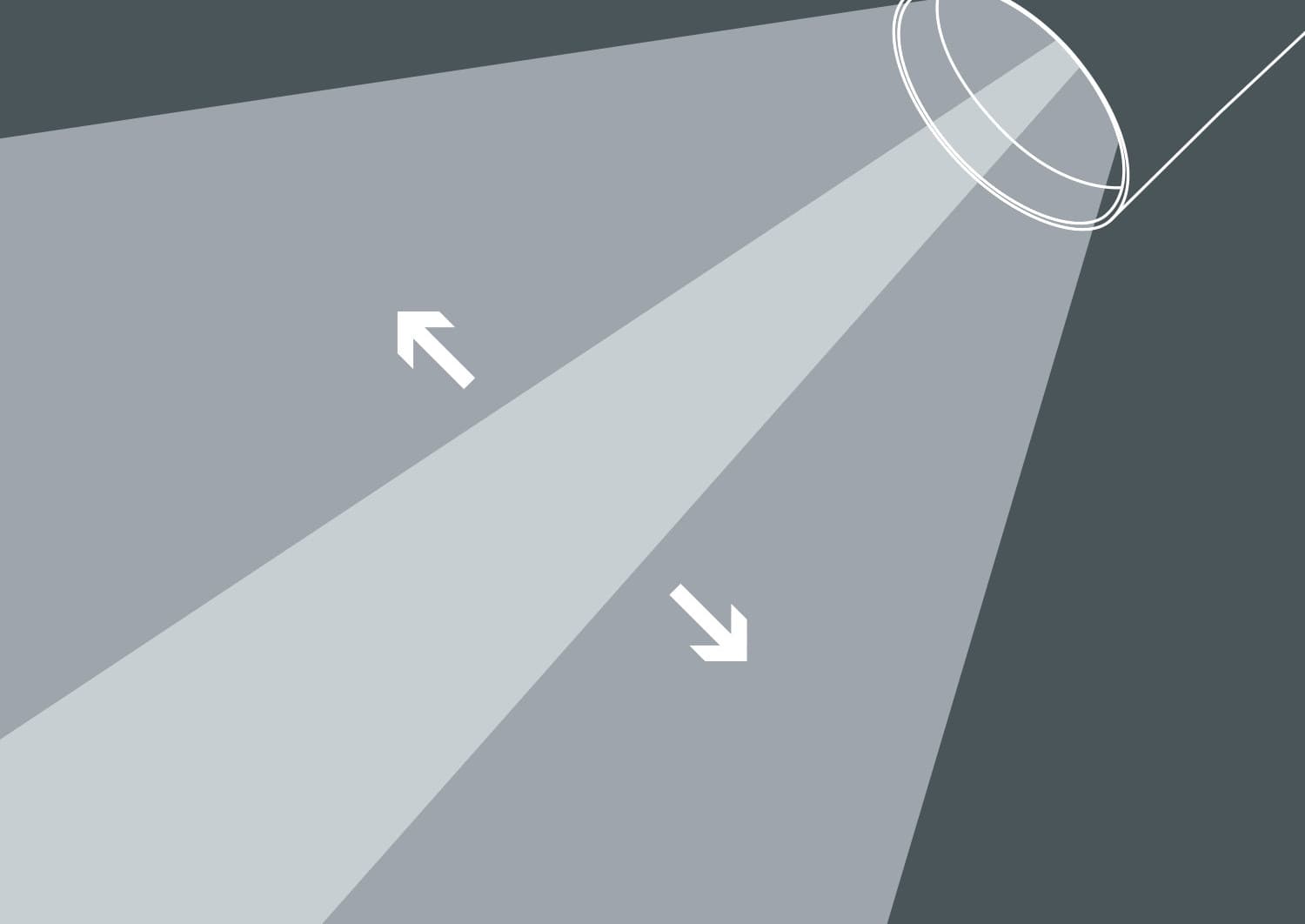 Illustration eines ERCO Strahlers, der Licht zur Baumbelichtung abstrahlt.