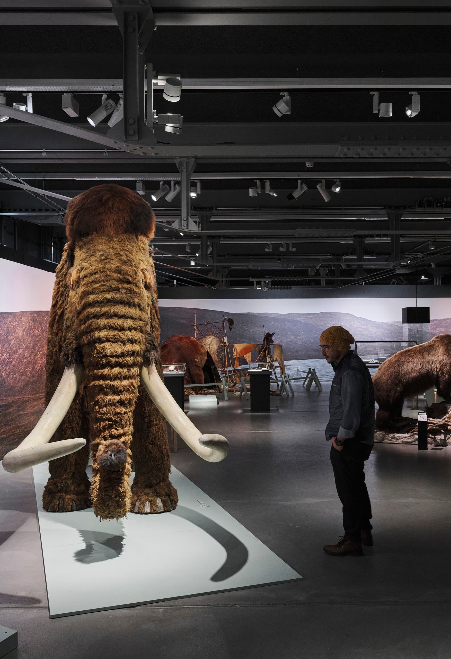 Frontansicht auf ein präpariertes Mammut, daneben Betrachter.