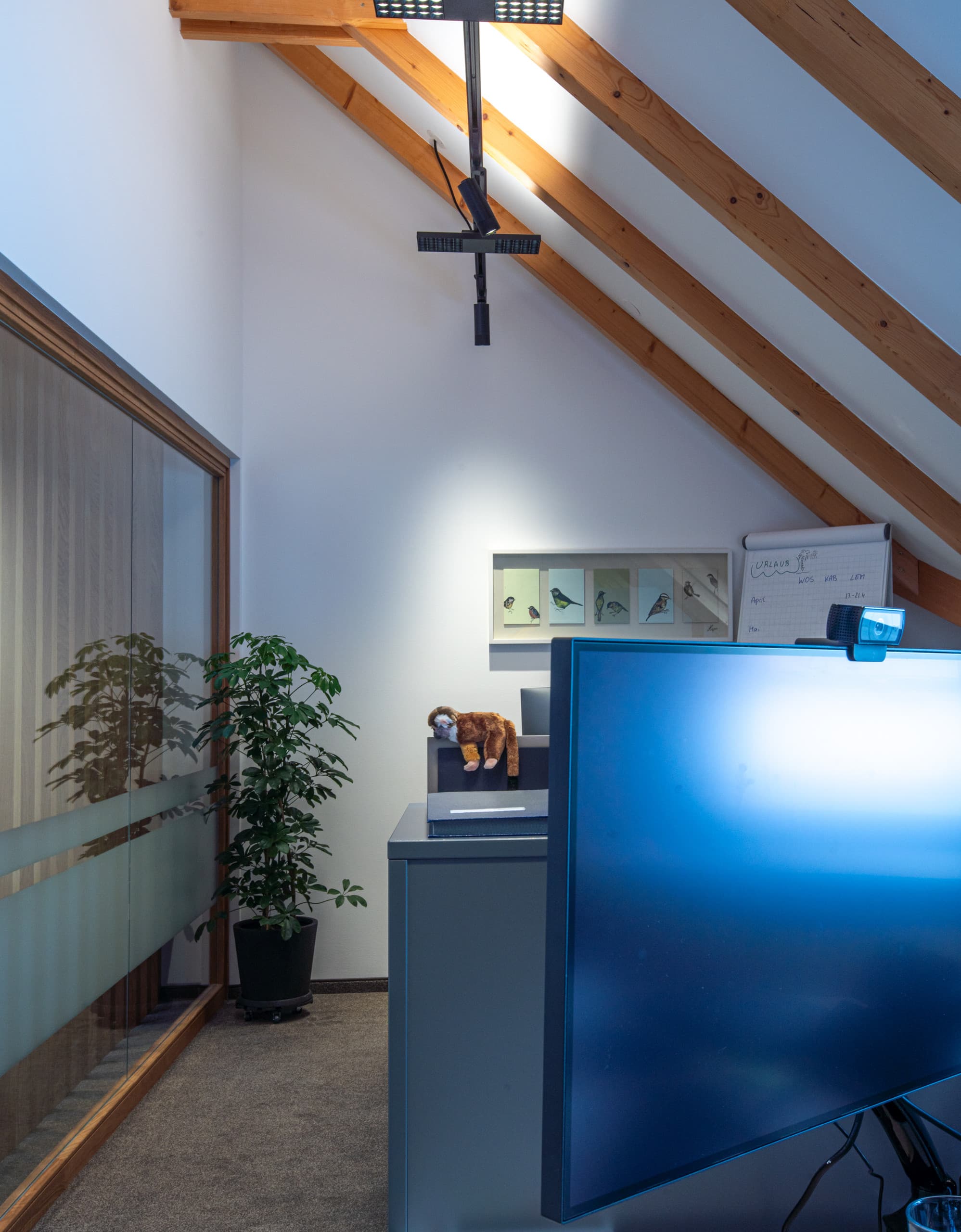 ERCO Jilly Downlights für Bürobeleuchtung in den Büros der WLK Energy GmbH.
