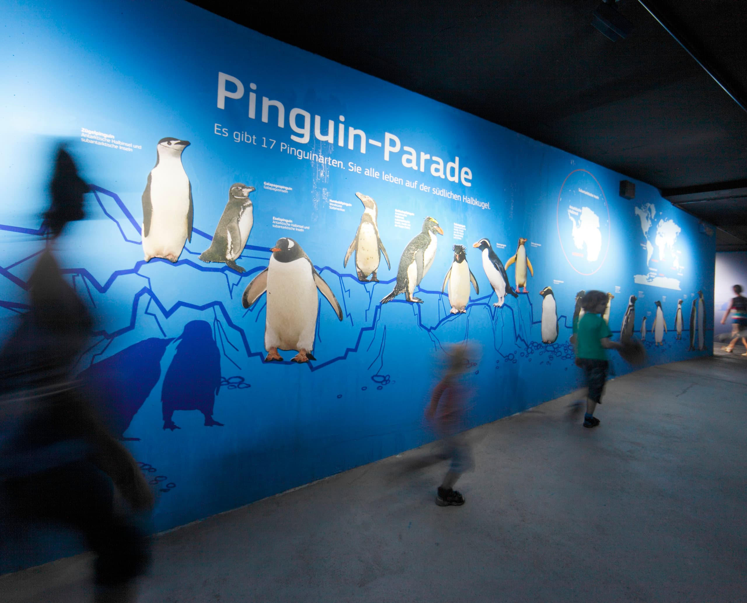 Pinguin-Parade-Ausstellung im Hagenbeck Zoo, beleuchtet mit ERCO Grasshopper LED Strahlern.