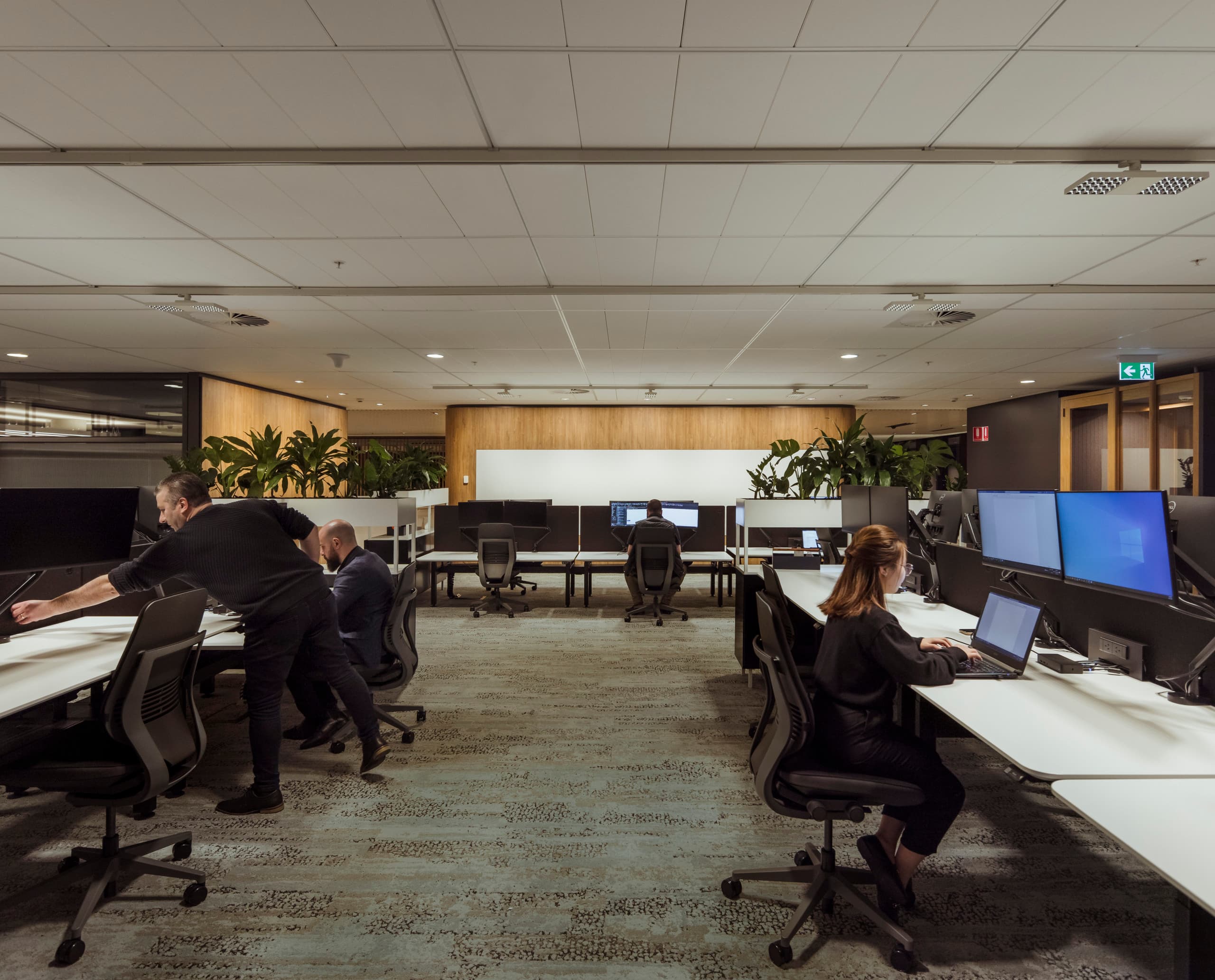 Das VicRoads Ringwood Customer Hub Büro mit ERCO Downlights für flexible Bürobeleuchtung.