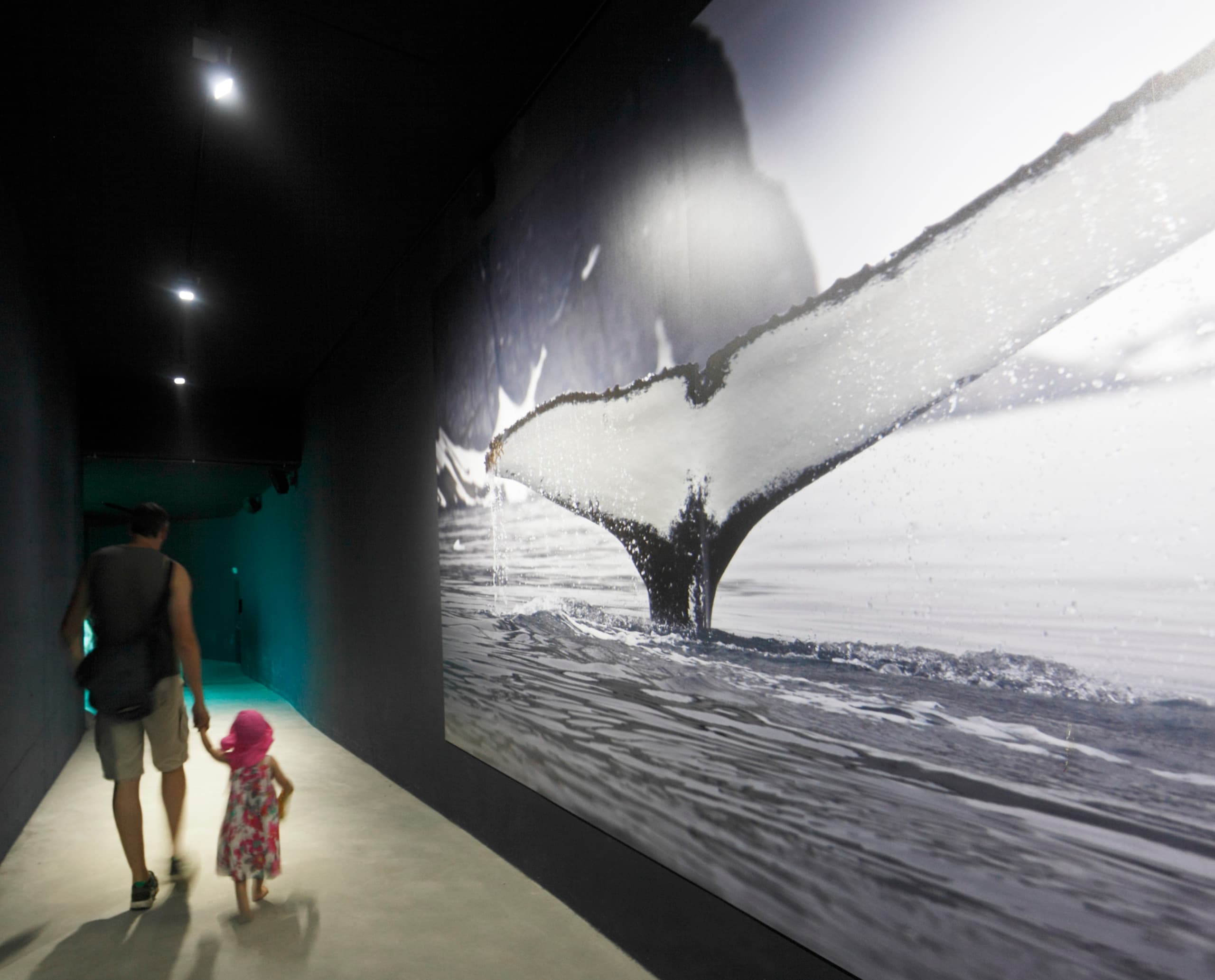Besucher im Arktis-Gehege Hagenbeck, beleuchtet mit Grasshopper LED Strahlern, betrachten eine Walross-Ausstellung.