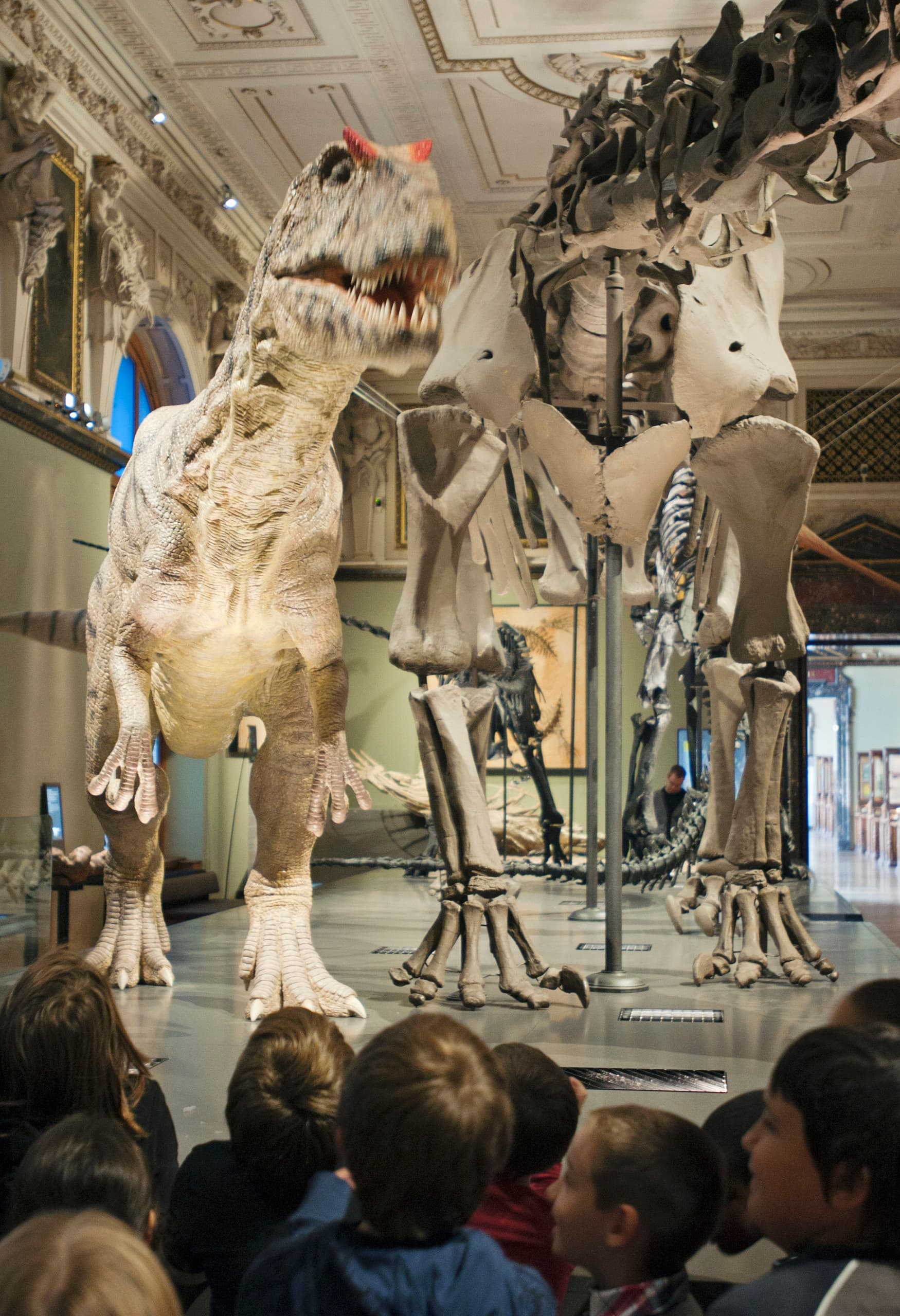 Dinosaurierskelette im Naturhistorischen Museum Wien, beleuchtet mit ERCO Logotec LED Strahlern.