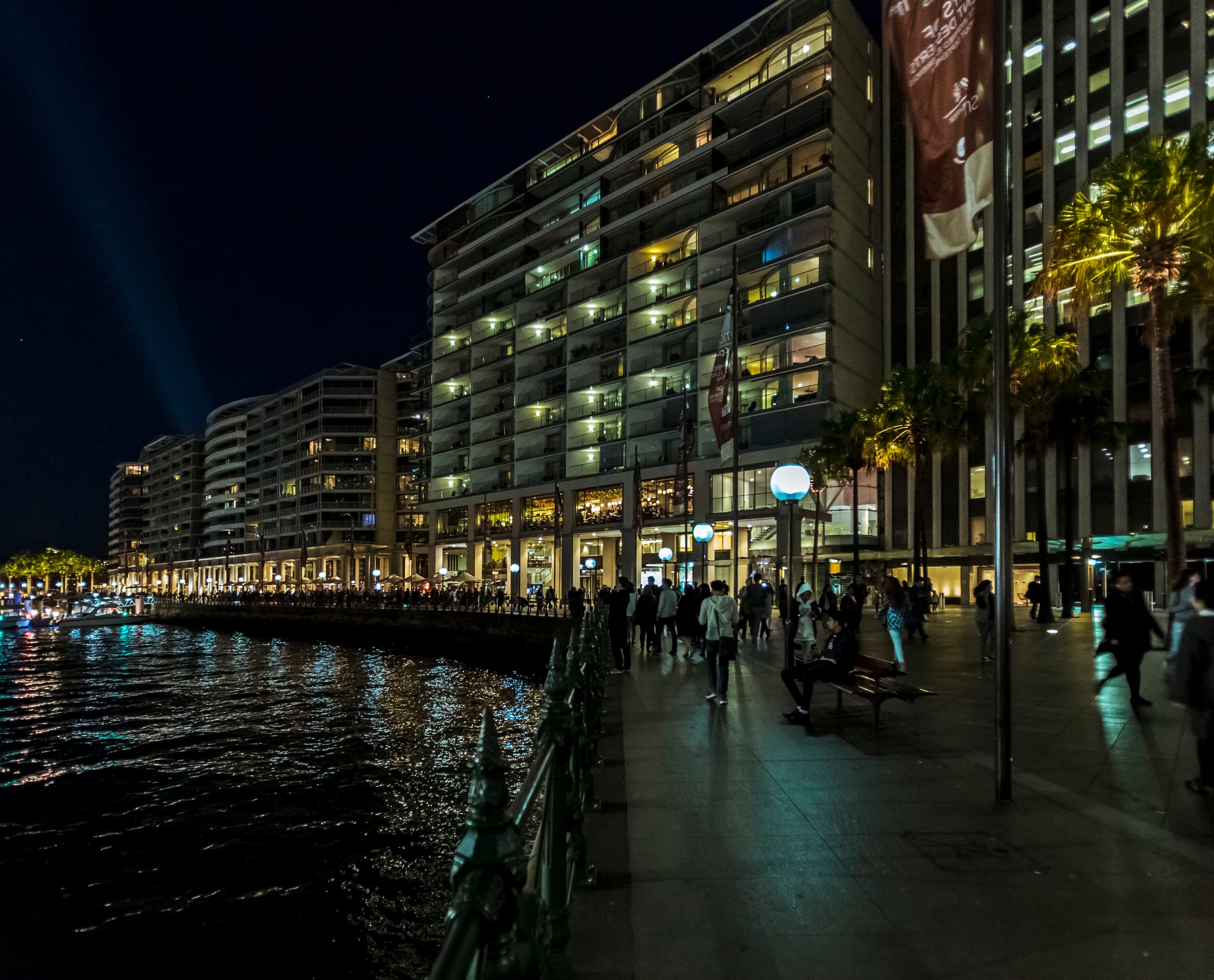 Nachtszenen von Palmen am Circular Quay, Sydney, beleuchtet mit ERCO Tesis Bodeneinbauleuchten.