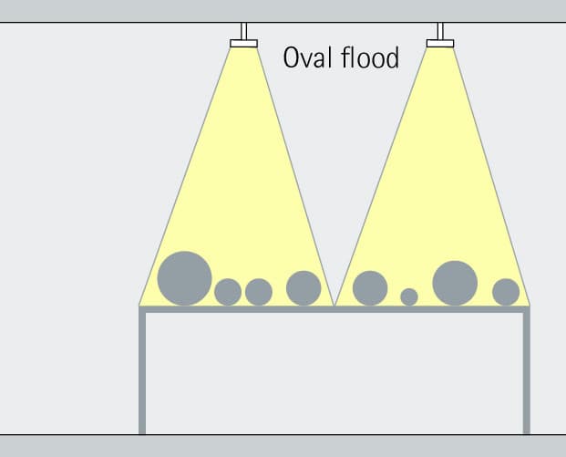 ERCO Oval Flood LED-Strahler beleuchten eine Kunstausstellung in der John Curtin Gallery.