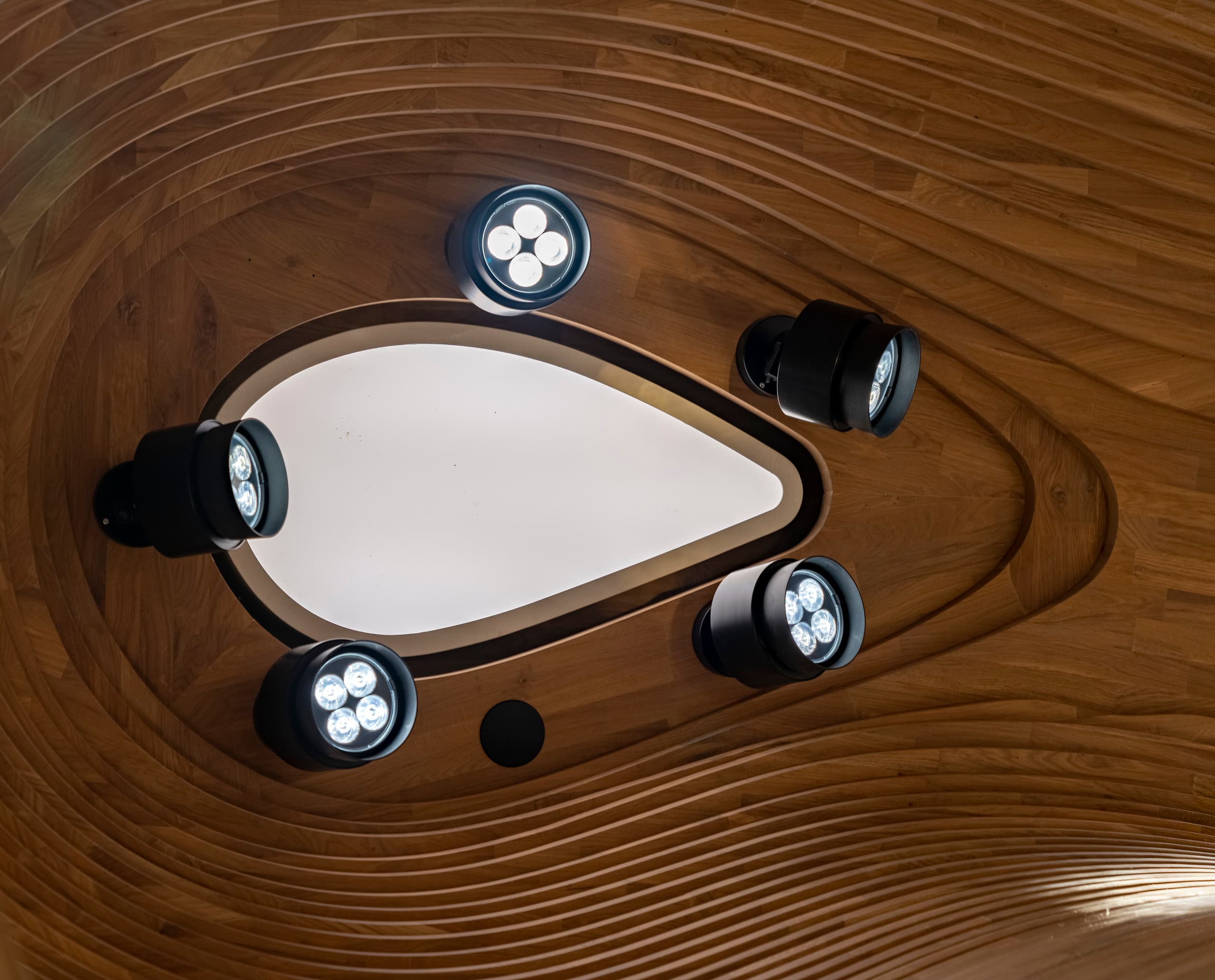 ERCO LED-Strahler beleuchten organische Wand im National Museum of Qatar.
