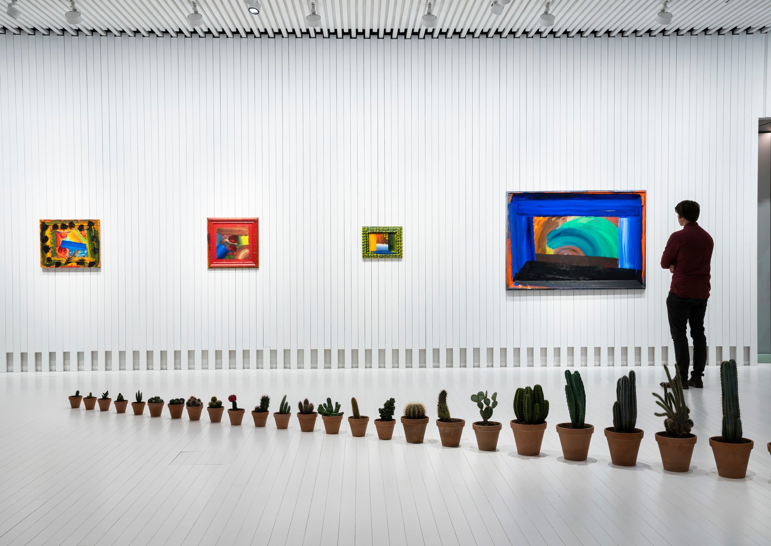 Mann betrachtet Kunst in The Twist Museum, beleuchtet mit ERCO Parscan Strahlern, neben einer Reihe von Kakteen.