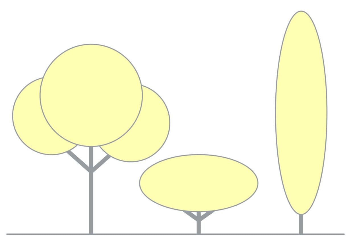 Baumbeleuchtung: Illustration verschiedener Baumformen für die Lichtplanung im Außenbereich.