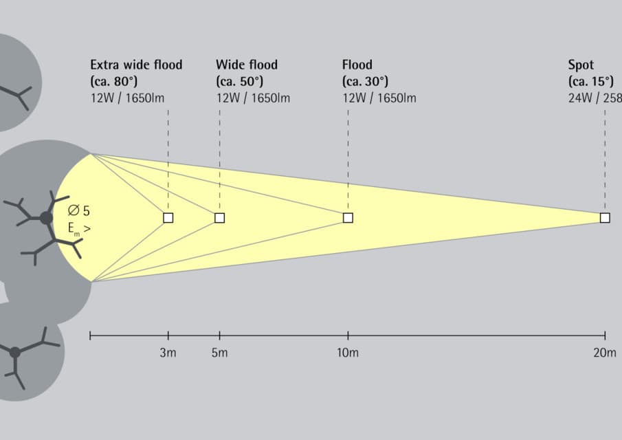 Schematische Darstellung verschiedener ERCO Lichtverteilungen zur Baumbelichtung mit Lumen und Watt Angaben.
