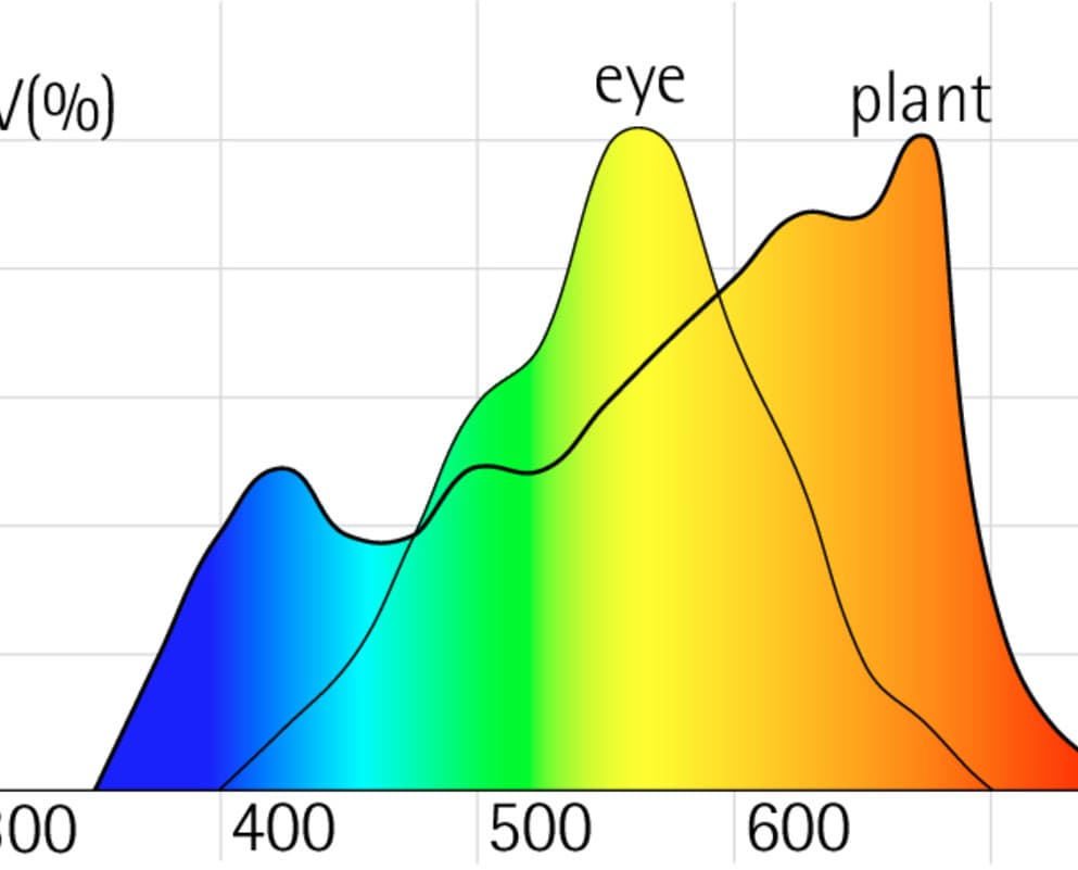 Diagramm des Lichtspektrums für Pflanzenwachstum und menschliches Sehen im Vergleich.