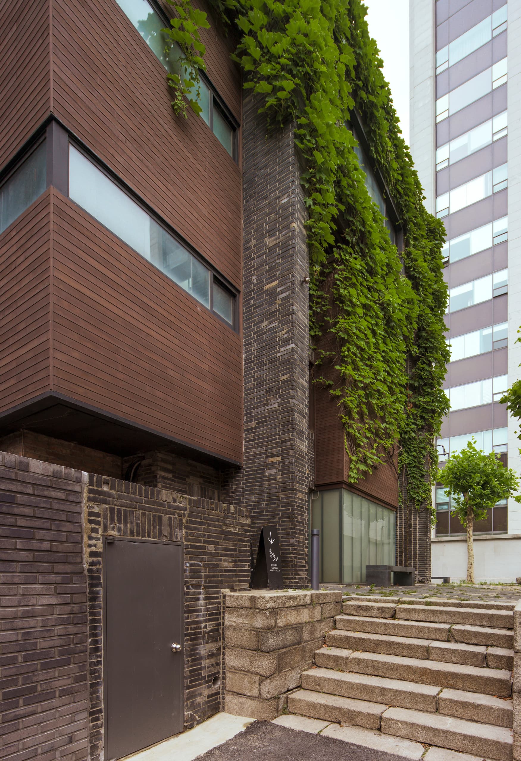 Arario Galerie Seoul: Fassade mit Efeu und ERCO Licht für White Cube Ausstellungen.