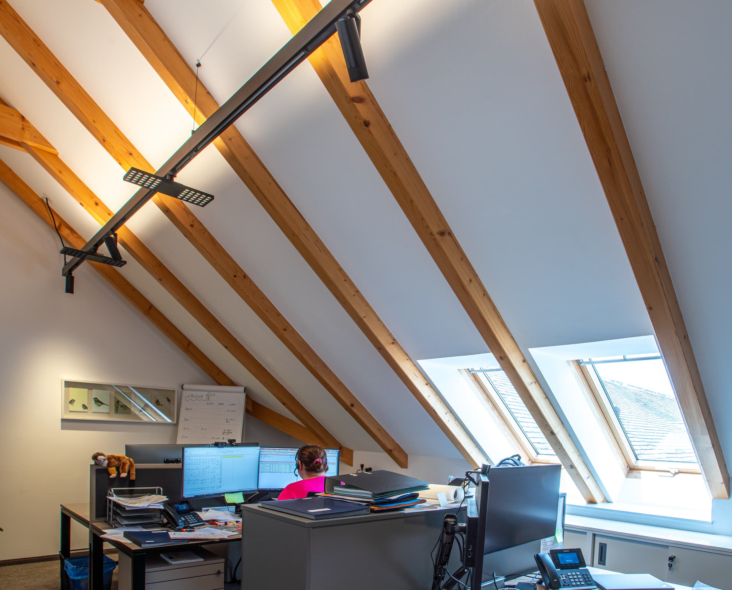 ERCO Jilly Downlights und Uniscan Strahler in einem Büro von WLK Energy für flexible Bürobeleuchtung.