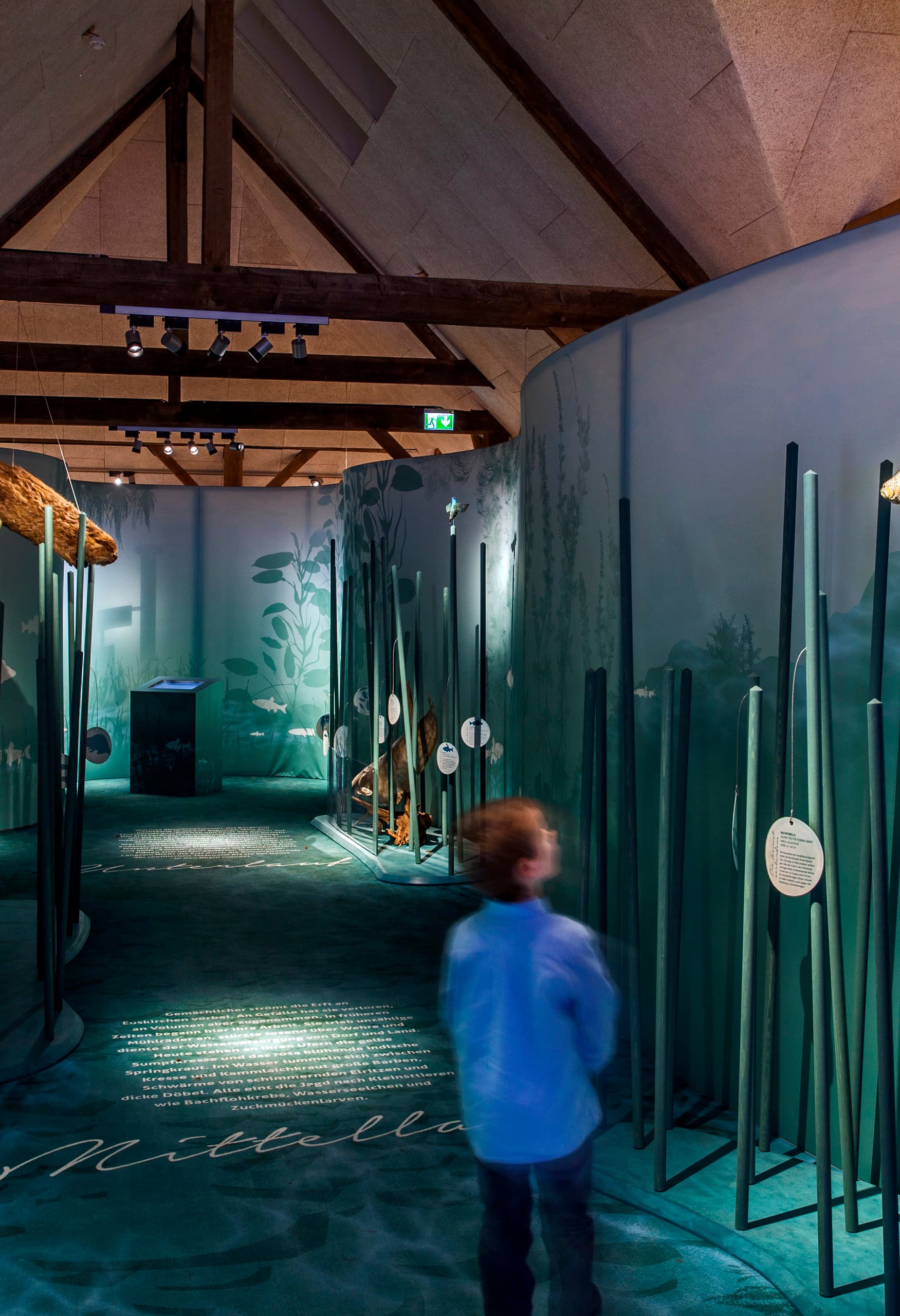 Interaktive Ausstellung im KM 51 – Erftmuseum mit ERCO LED-Beleuchtung.