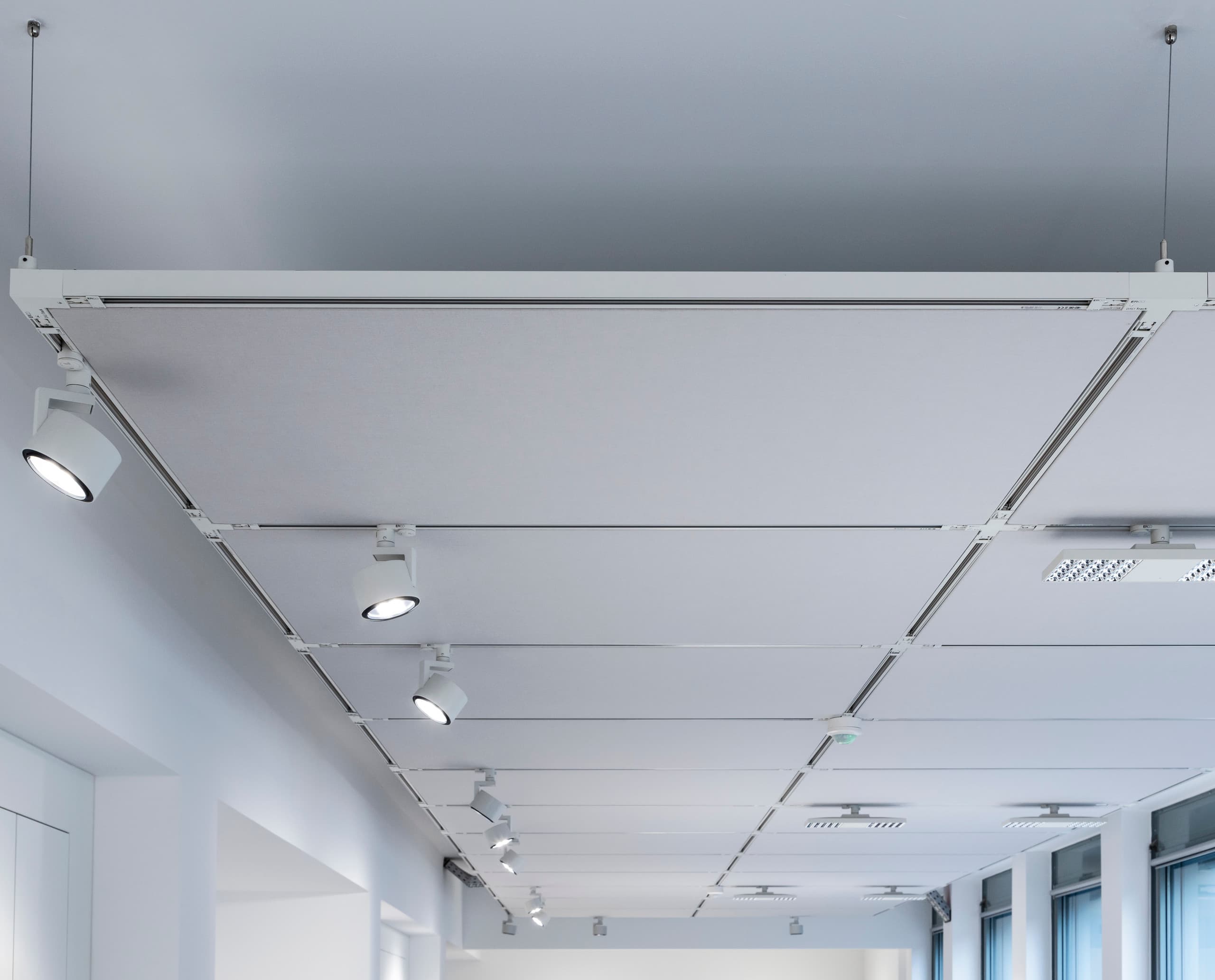 Deckenansicht eines modernen Büros mit rasterförmig angeordneten Stromschienen und flexibel ausgerichteten Strahlern für präzise, anpassbare Allgemein- und Arbeitsplatzbeleuchtung.