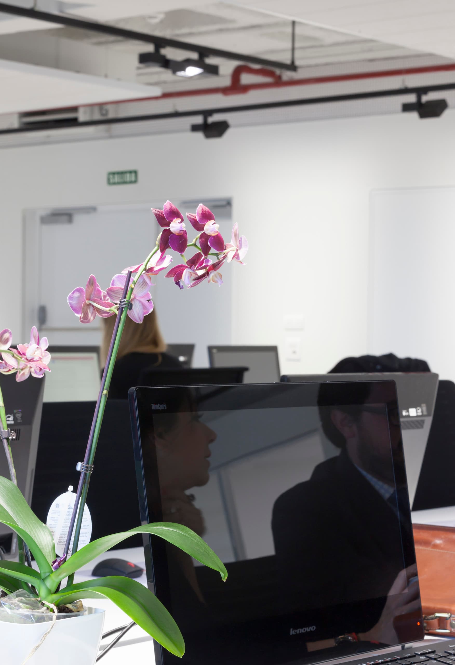 ERCO Bürobeleuchtung im Engel & Völkers Market Center Madrid mit Orchidee im Vordergrund.
