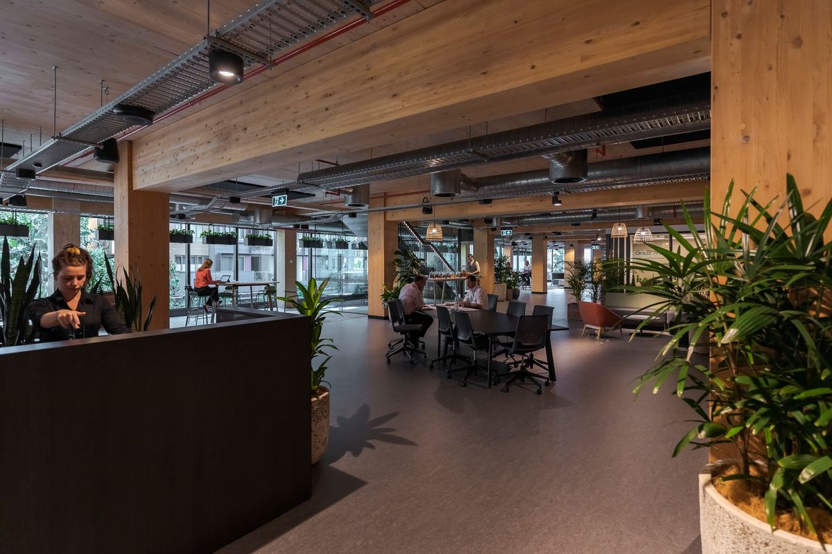 Aurecon, Brisbane. Arquitectura: Bates Smart. Interiorismo: Woods Bagot. Diseño de iluminación: Aurecon. Fotografía: Jackie Chan, Sídney.