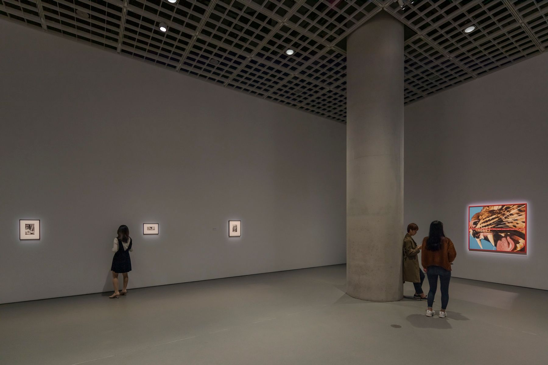 Exposición «Forever» de Barbara Kruger, 2019, en el Museo de Arte Amorepacific (APMA), Seúl. Arquitectura: David Chipperfield Architects (DCA), Berlín. Diseño de iluminación: Arup, Berlín. Fotografía: Jackie Chan, Sídney.