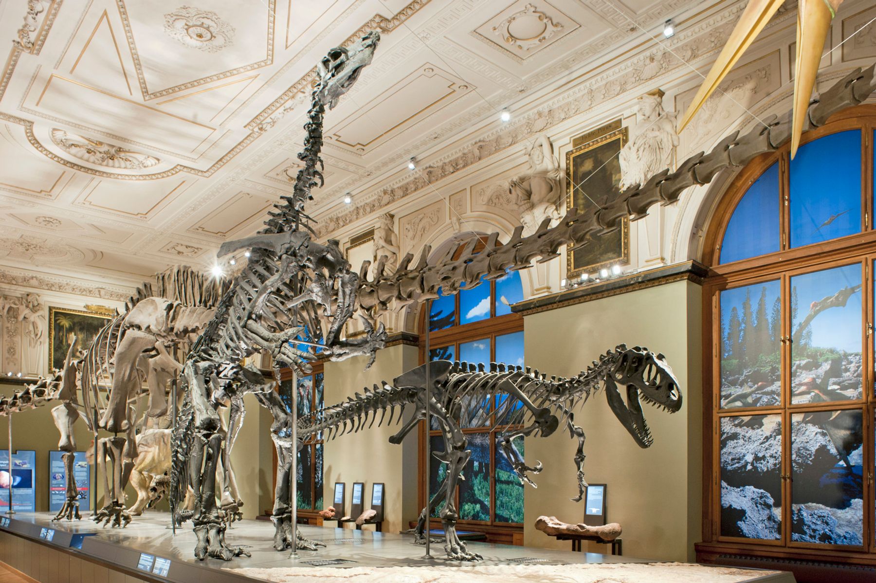 Dinosaur hall in the Museum of Natural History, Vienna.