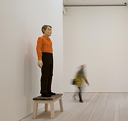 Formes de présentation dans les musées et galeries