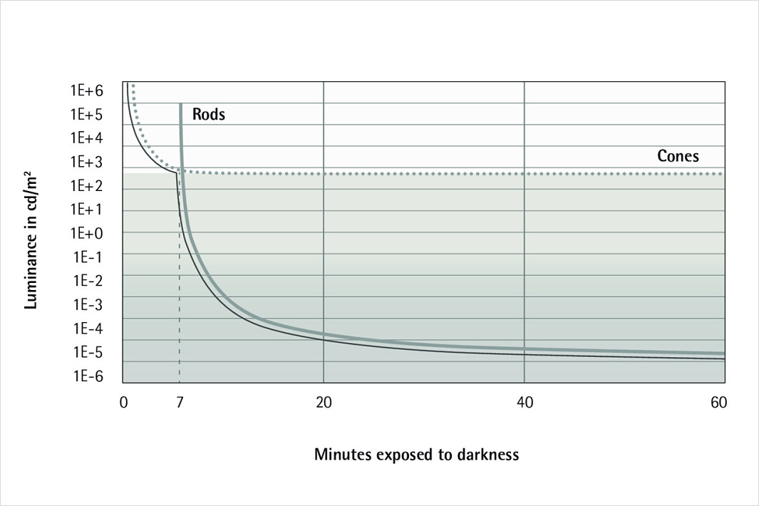 Le graphique montre le déroulement dans le temps de l’adaptation de lœil à l’obscurité