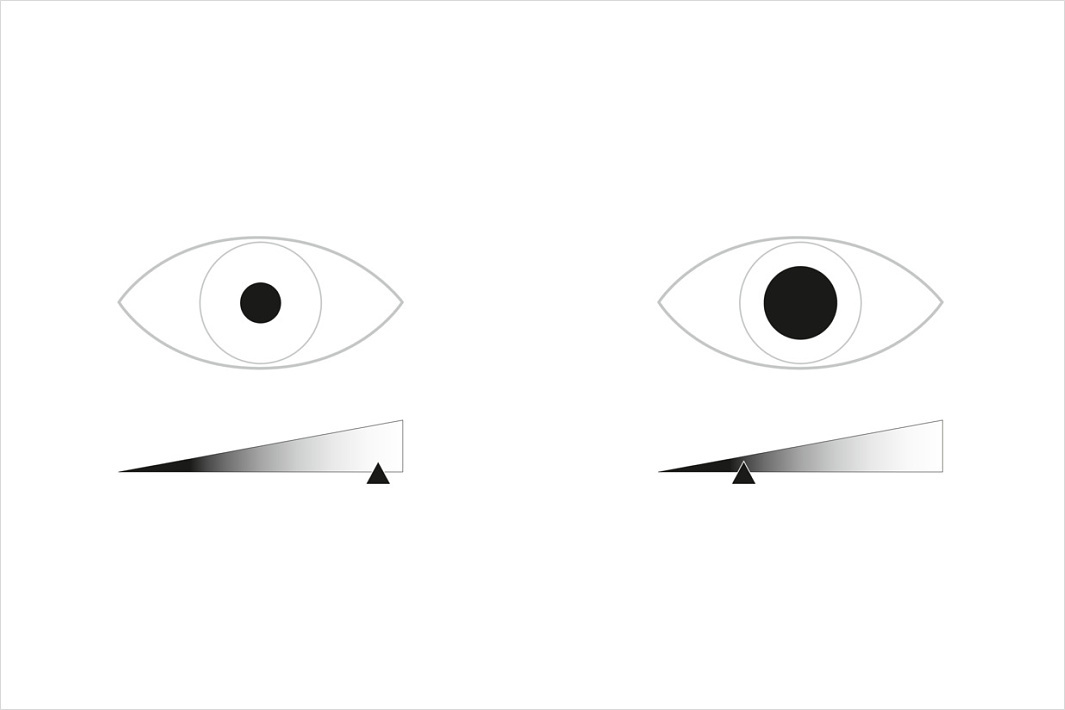 Grafiken förklarar ögats adaption vid starkt och svagt ljus.