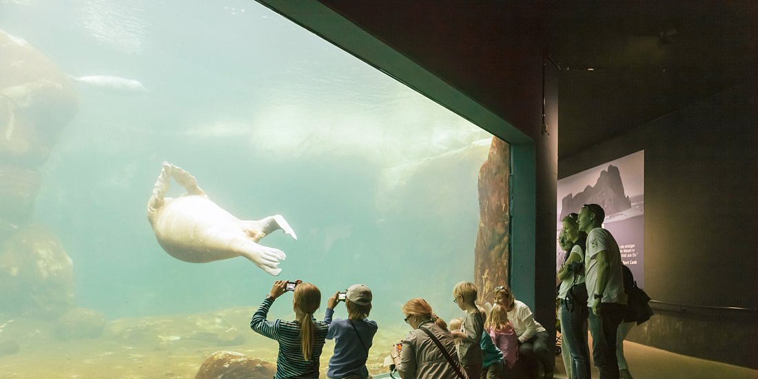 Impianto del Mar Glaciale nello Zoo di Hagenbeck, Amburgo