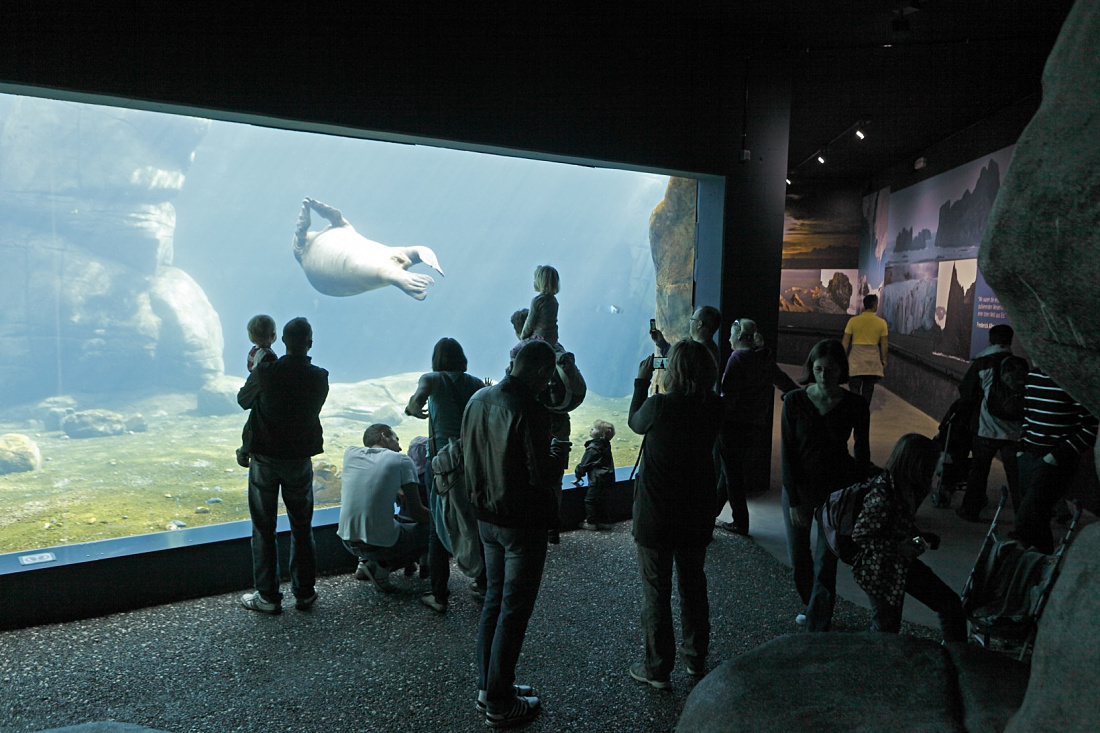 IJsmeergebied in dierentuin Hagenbeck, Hamburg