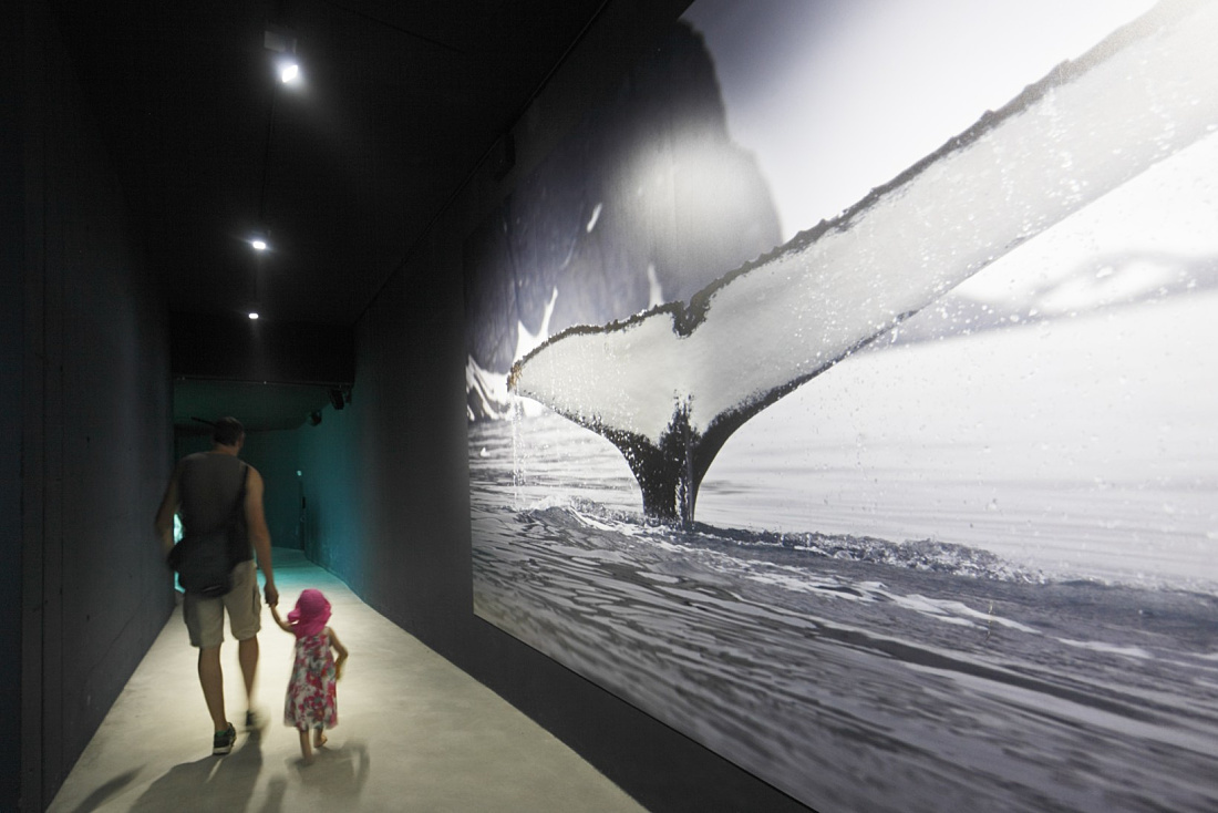 Instalación de mar glacial, zoológico Hagenbeck, Hamburgo