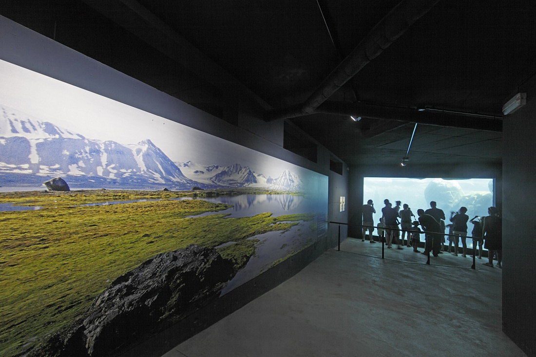 Instalación de mar glacial, zoológico Hagenbeck, Hamburgo