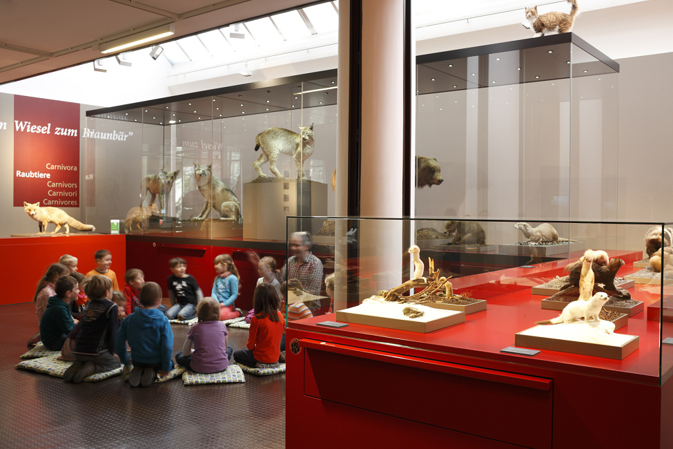 Bündner Naturmuseum, Chur