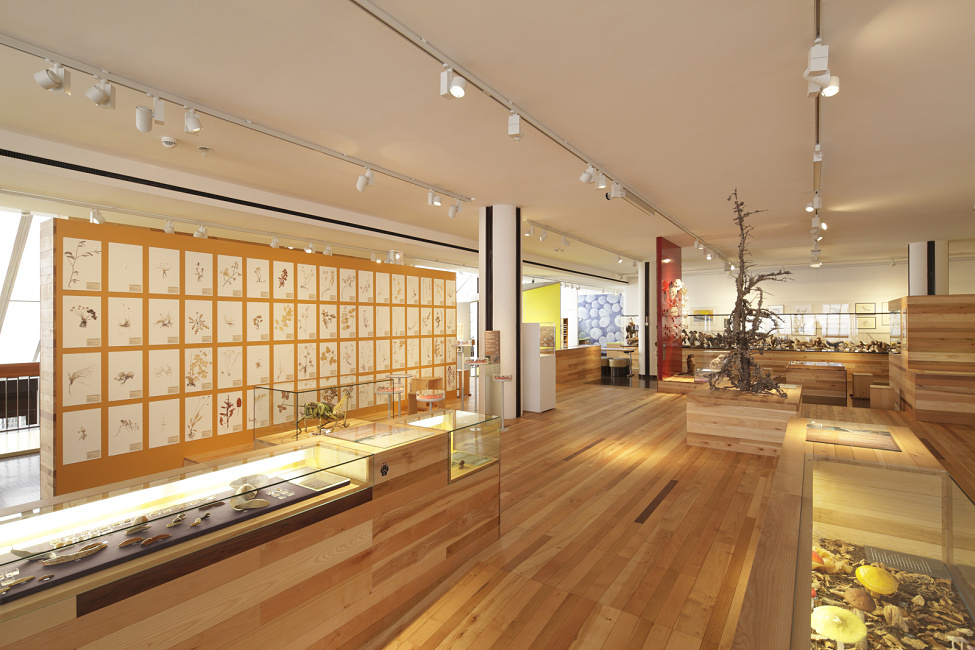 Bündner Naturmuseum, Chur
