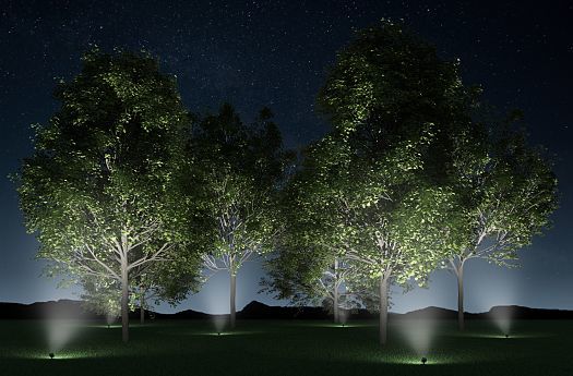 Guide Outdoor Lighting Erco, How To Place Landscape Lights On Trees