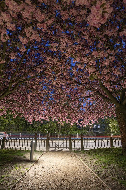 Park Digterlunden, Kopenhagen 